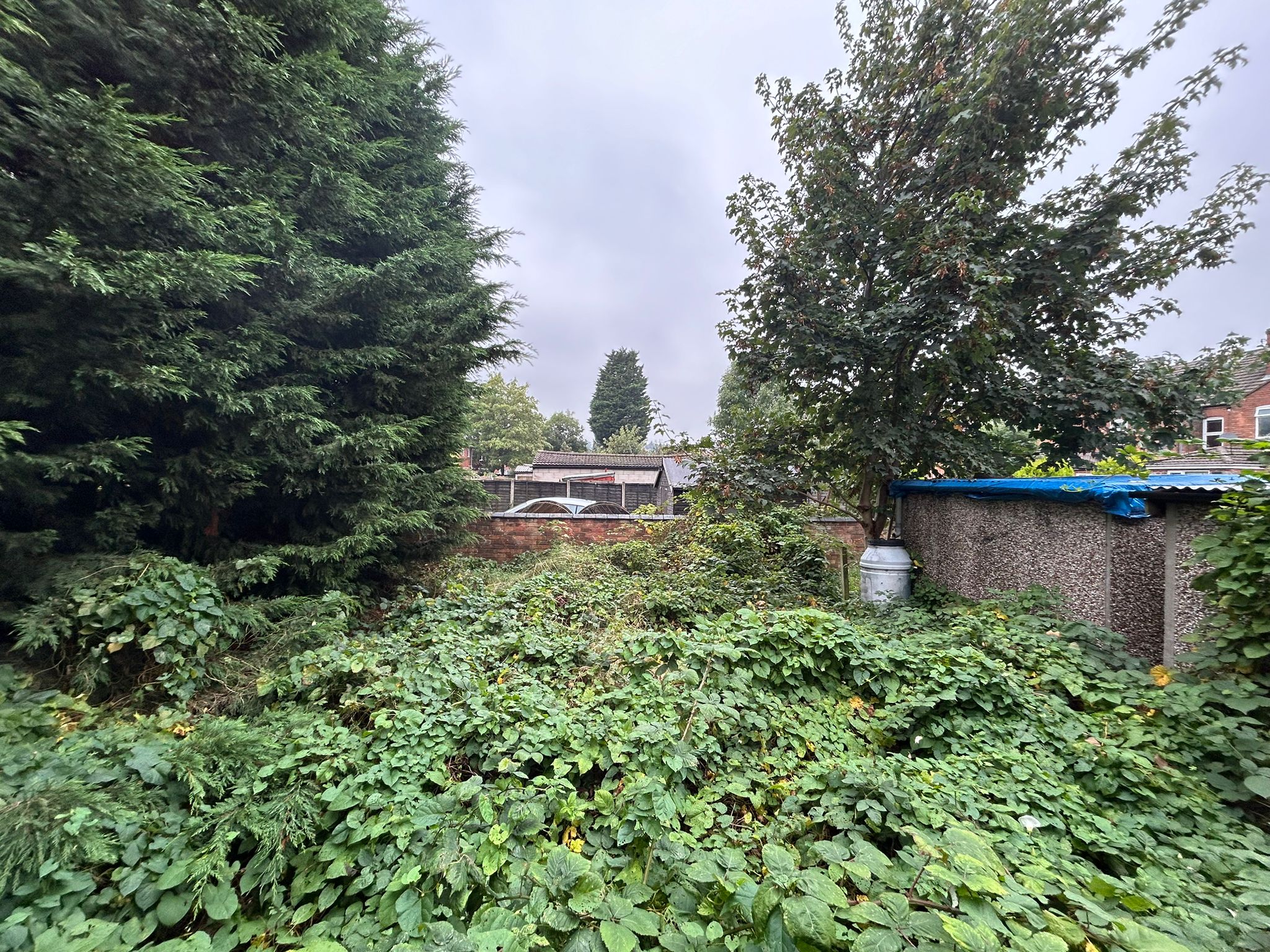 Property image #6
