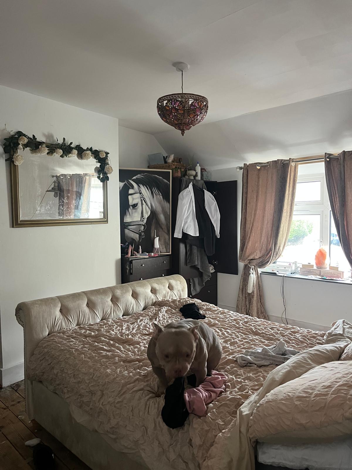 Property image #9