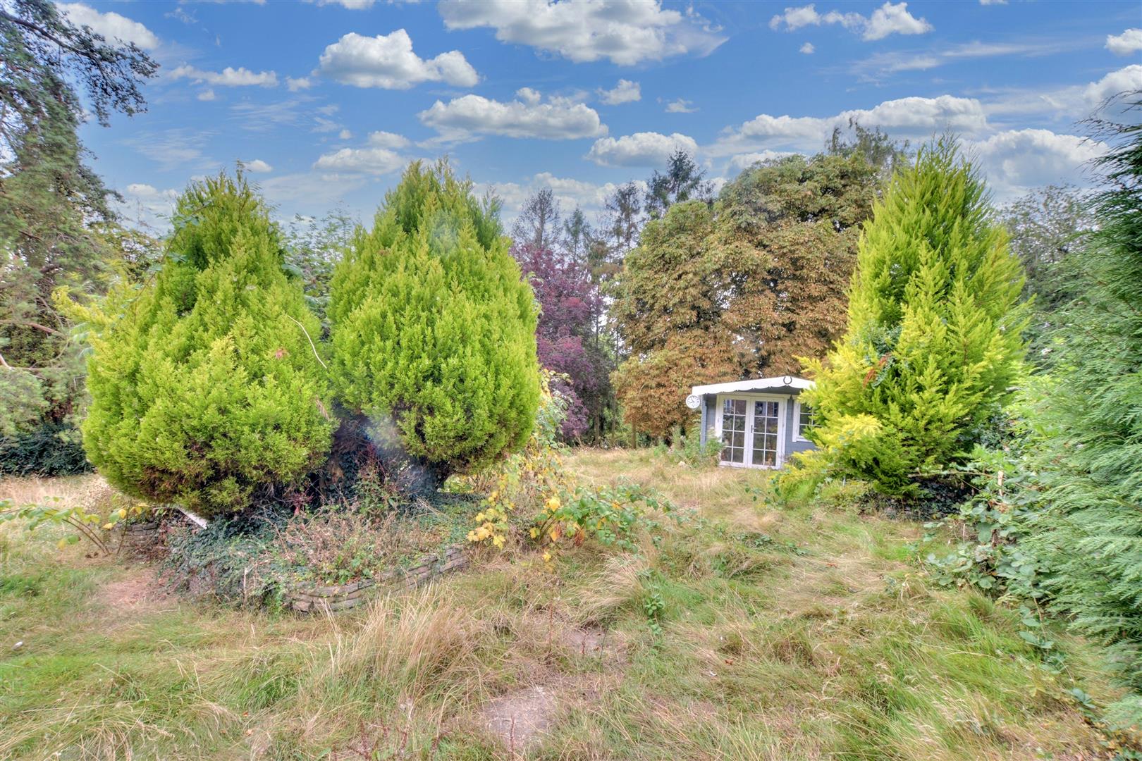 Property image #7