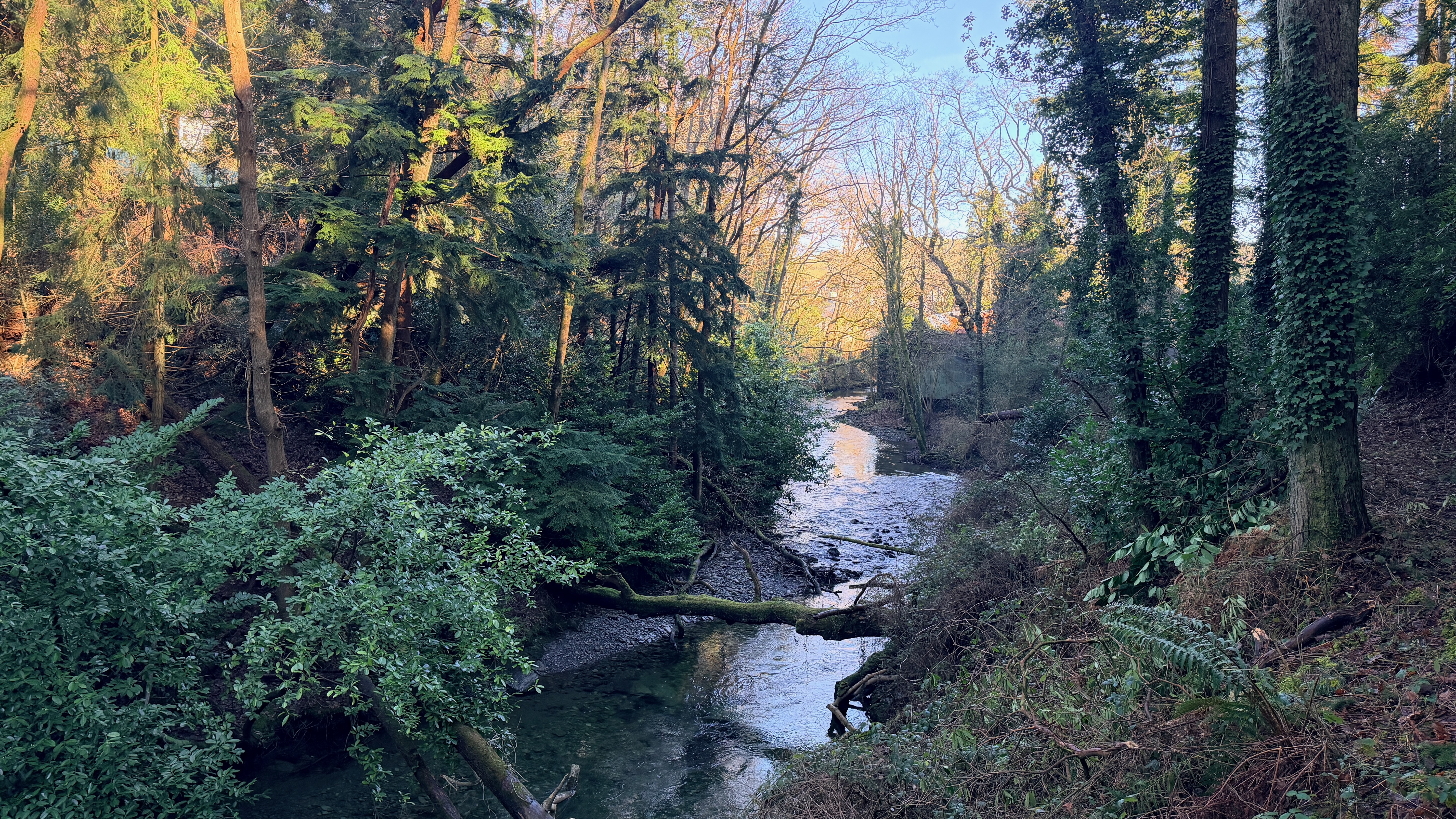 Lerry Mills, Talybont SY24 5ED