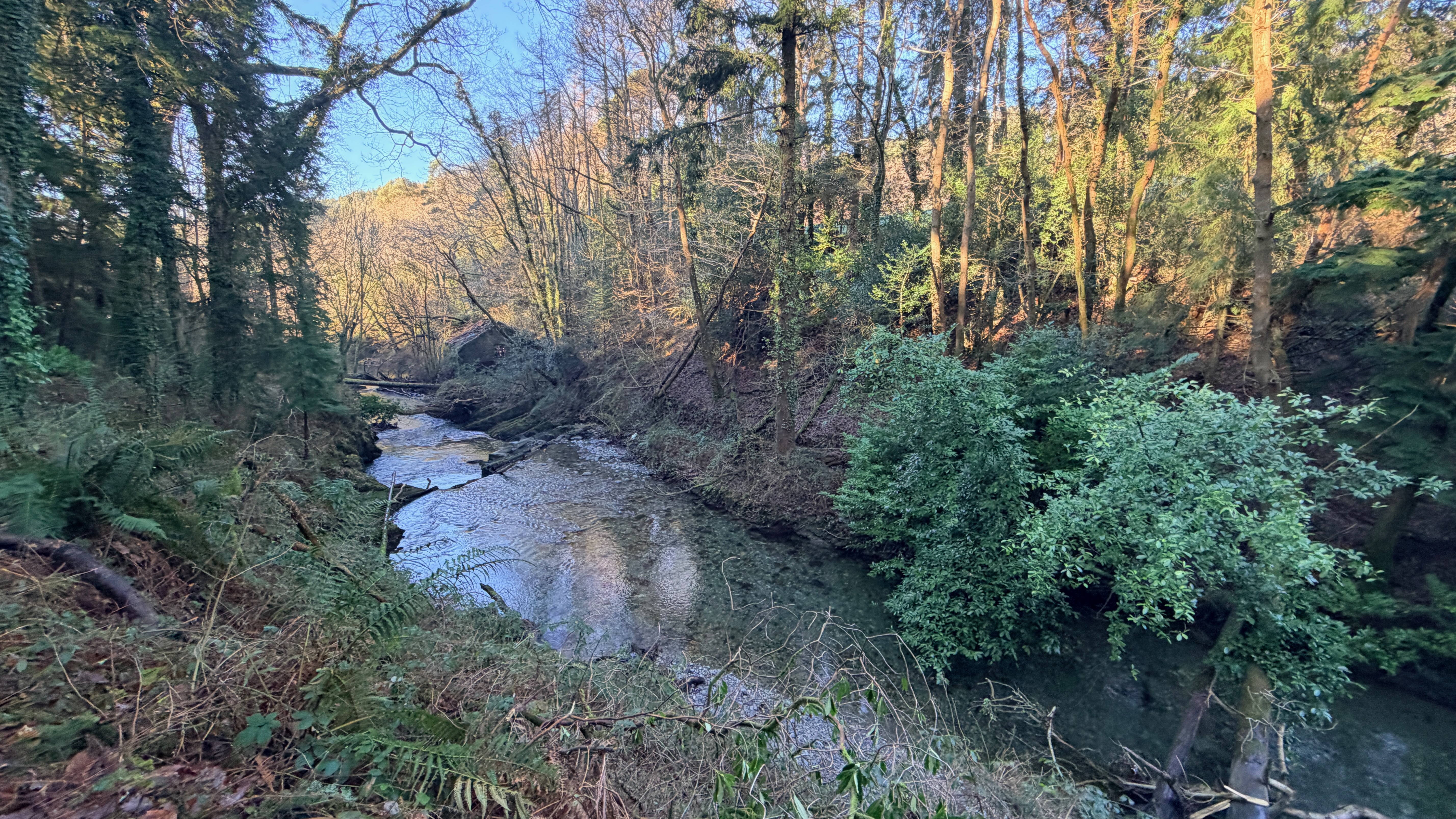 Lerry Mills, Talybont SY24 5ED