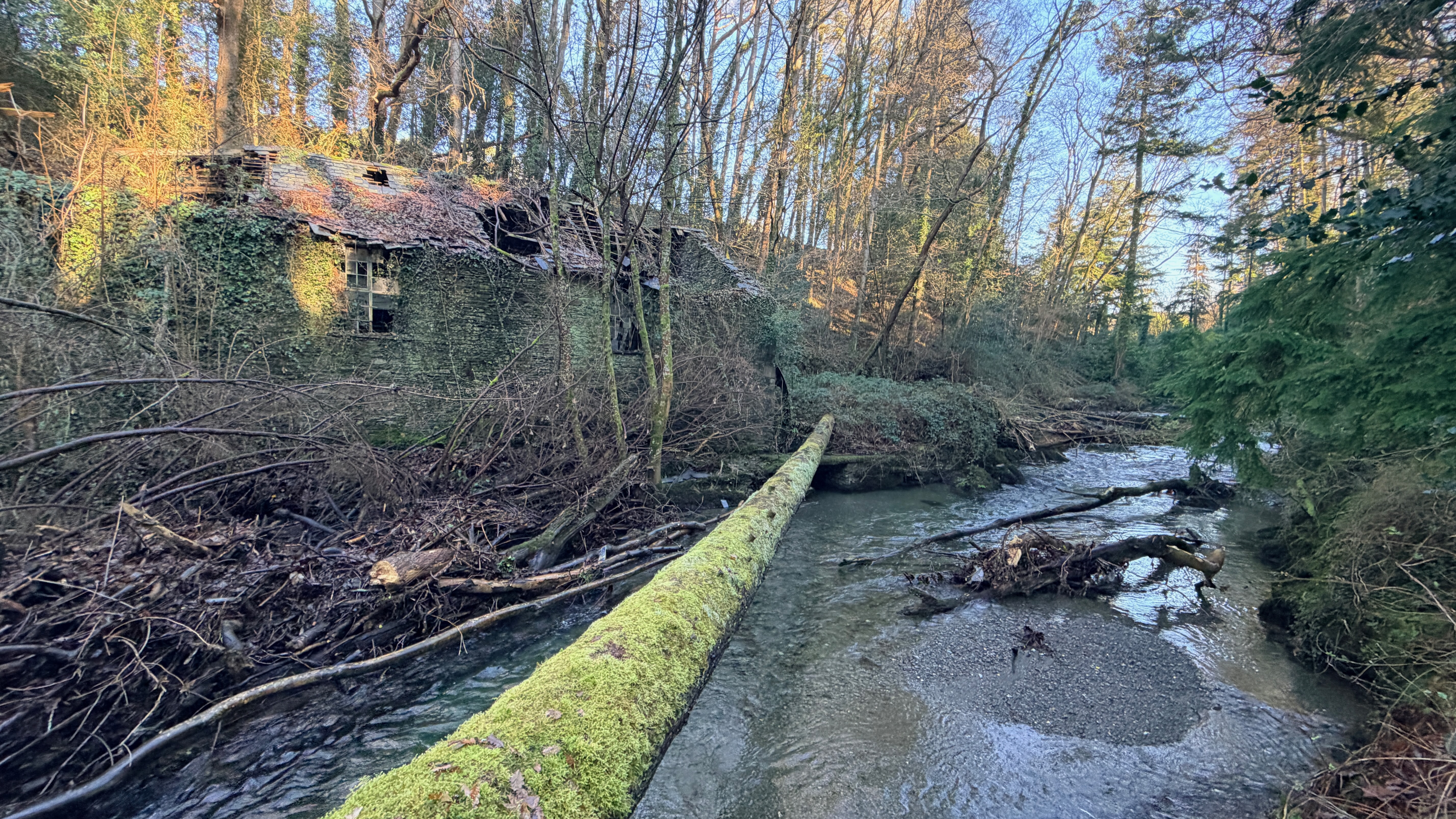 Lerry Mills, Talybont SY24 5ED