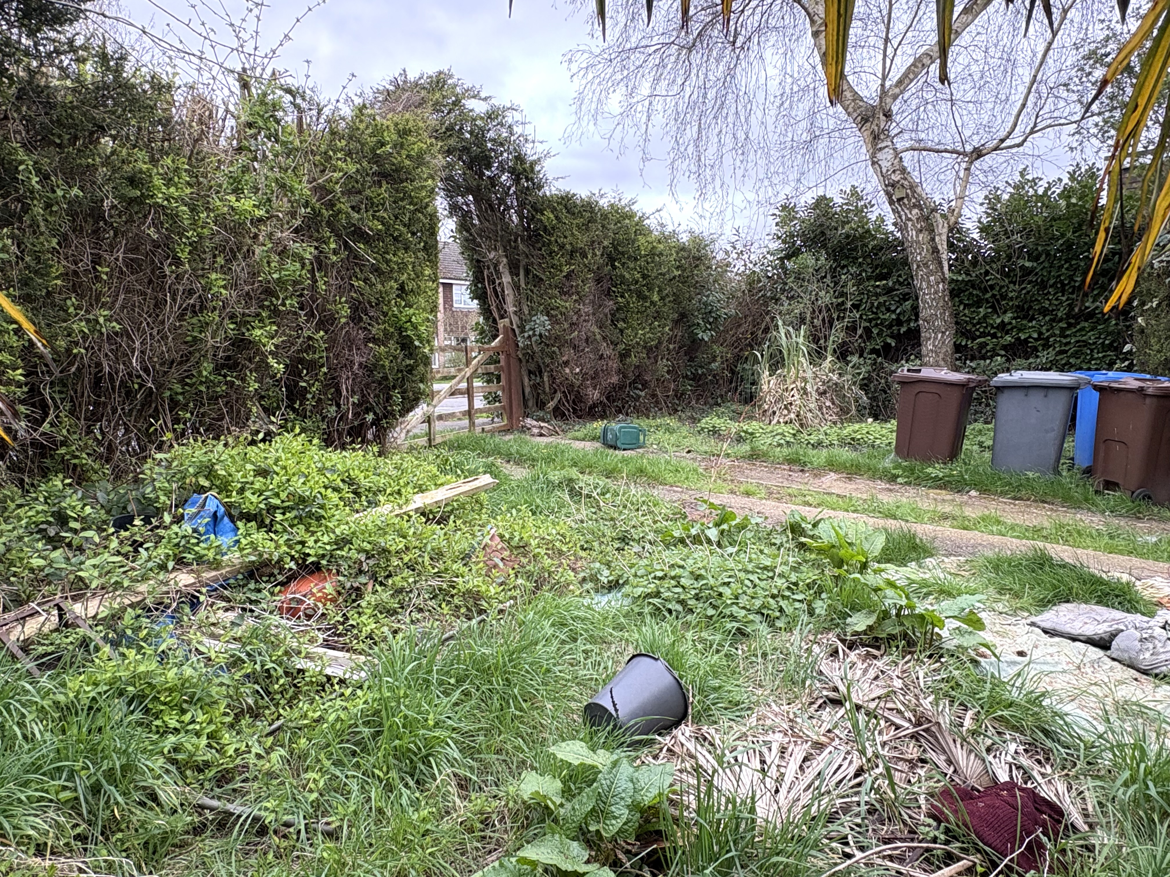 Property image #4