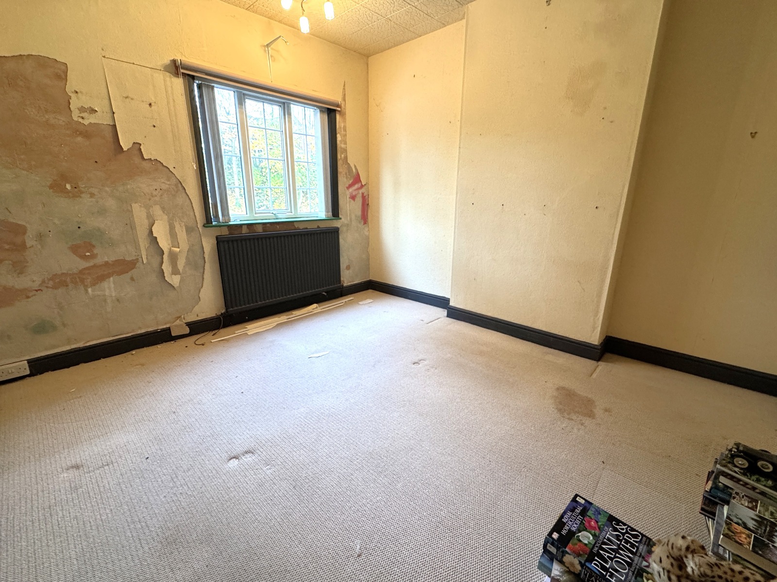 Property image #4