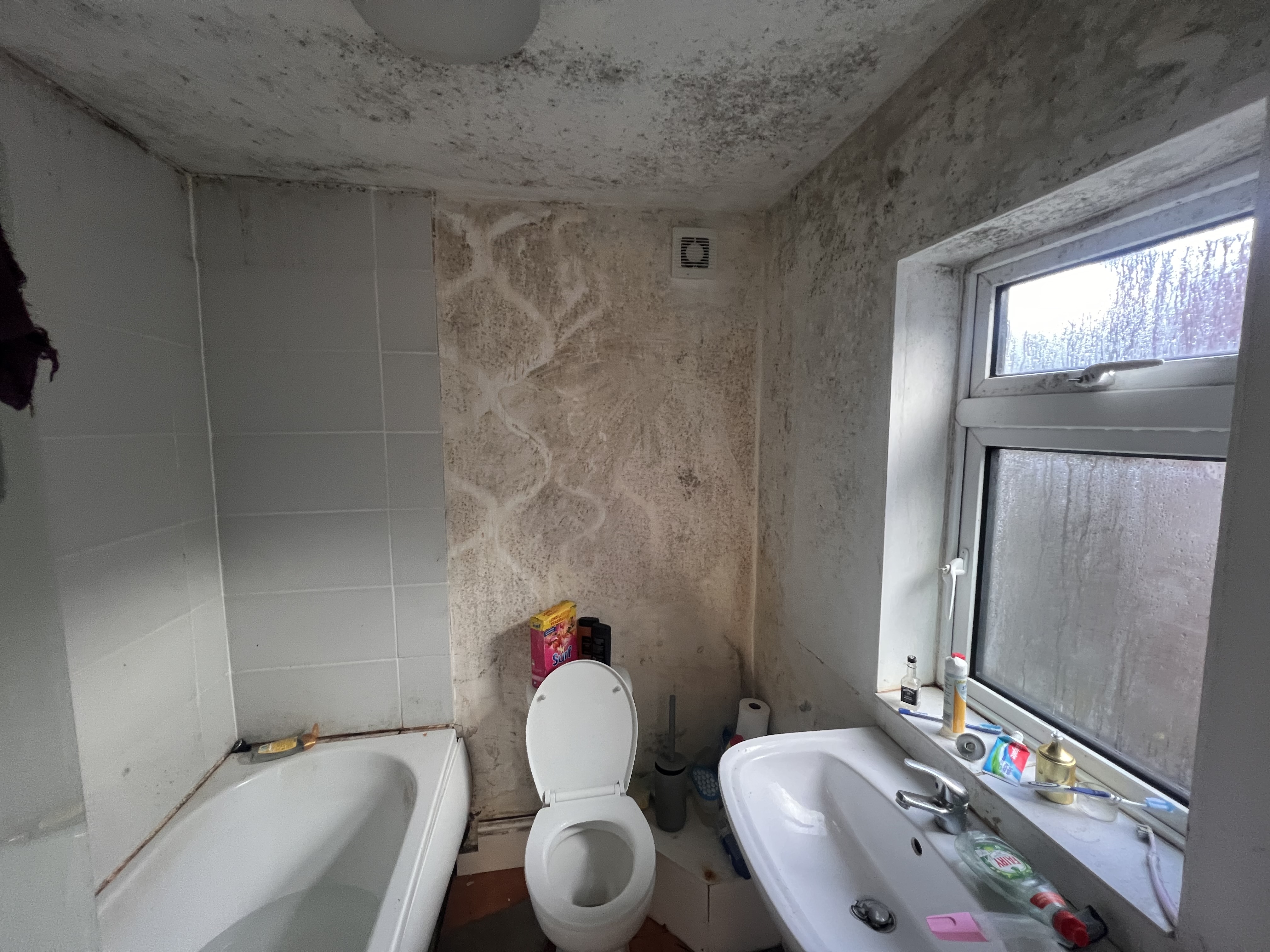 Property image #8