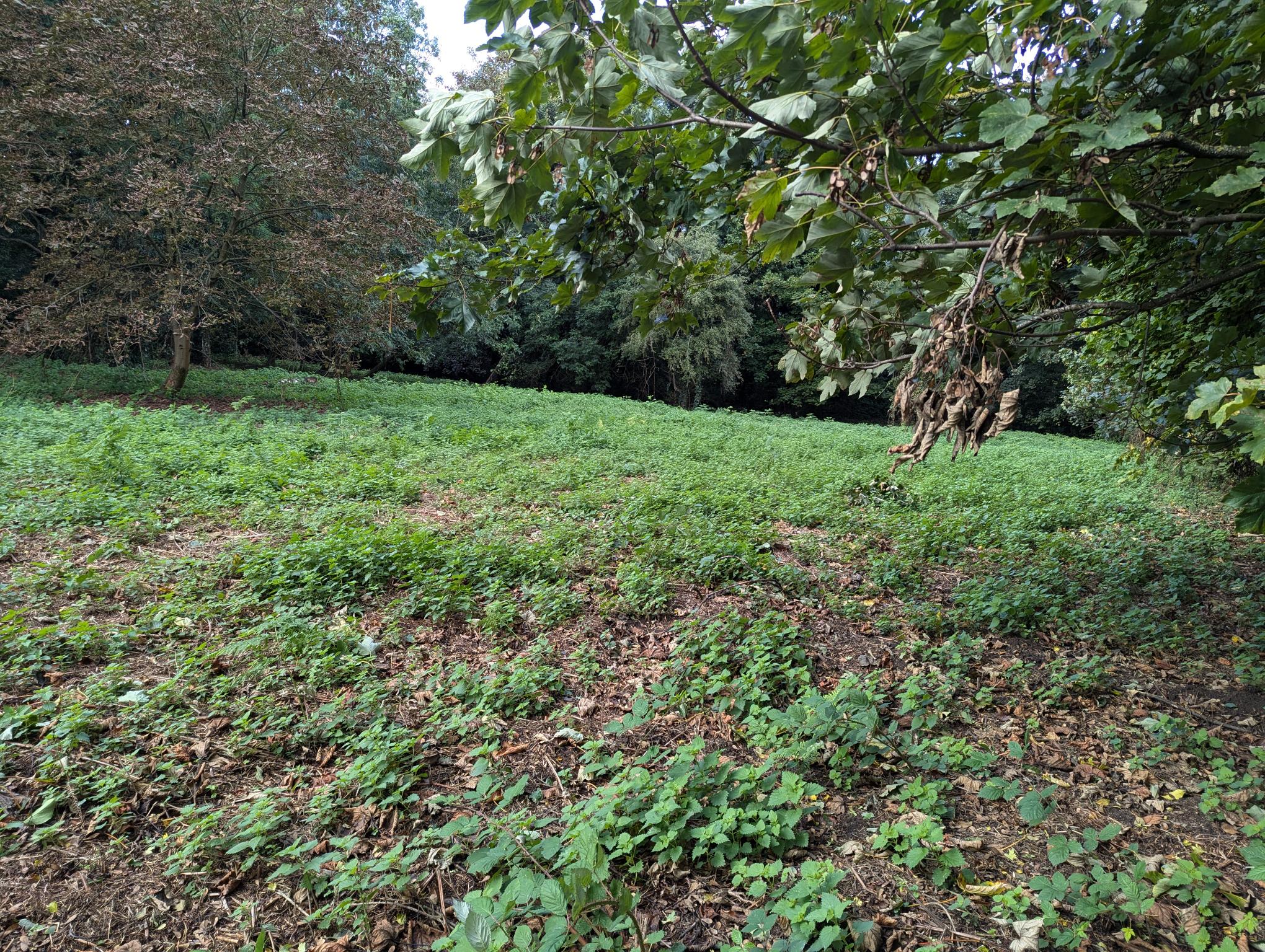 Residential Development Site, Main Street, Stanton by Dale DE7 4QH