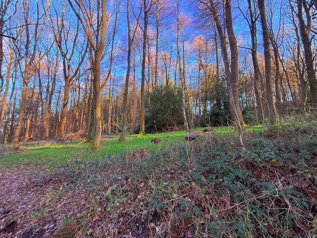 Land Lying to the West of Penistone Road (Stone Dyke Wood), Grenoside, Sheffield, South Yorkshire S35 1WN