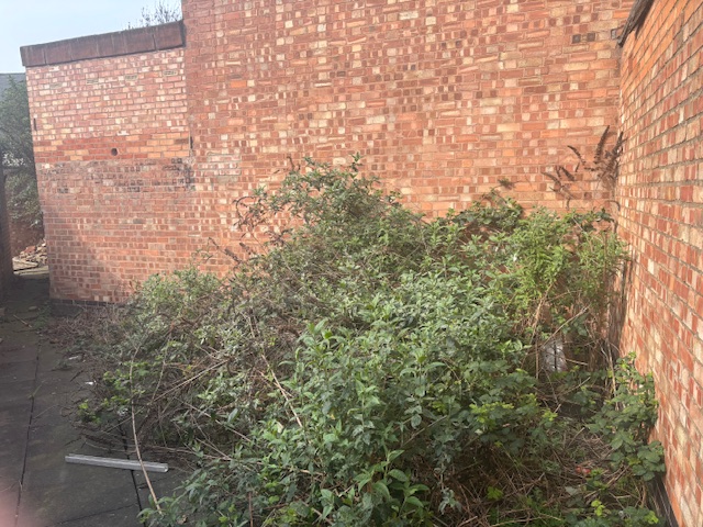 9 Quenby Street, Leicester LE5 0FB image 5