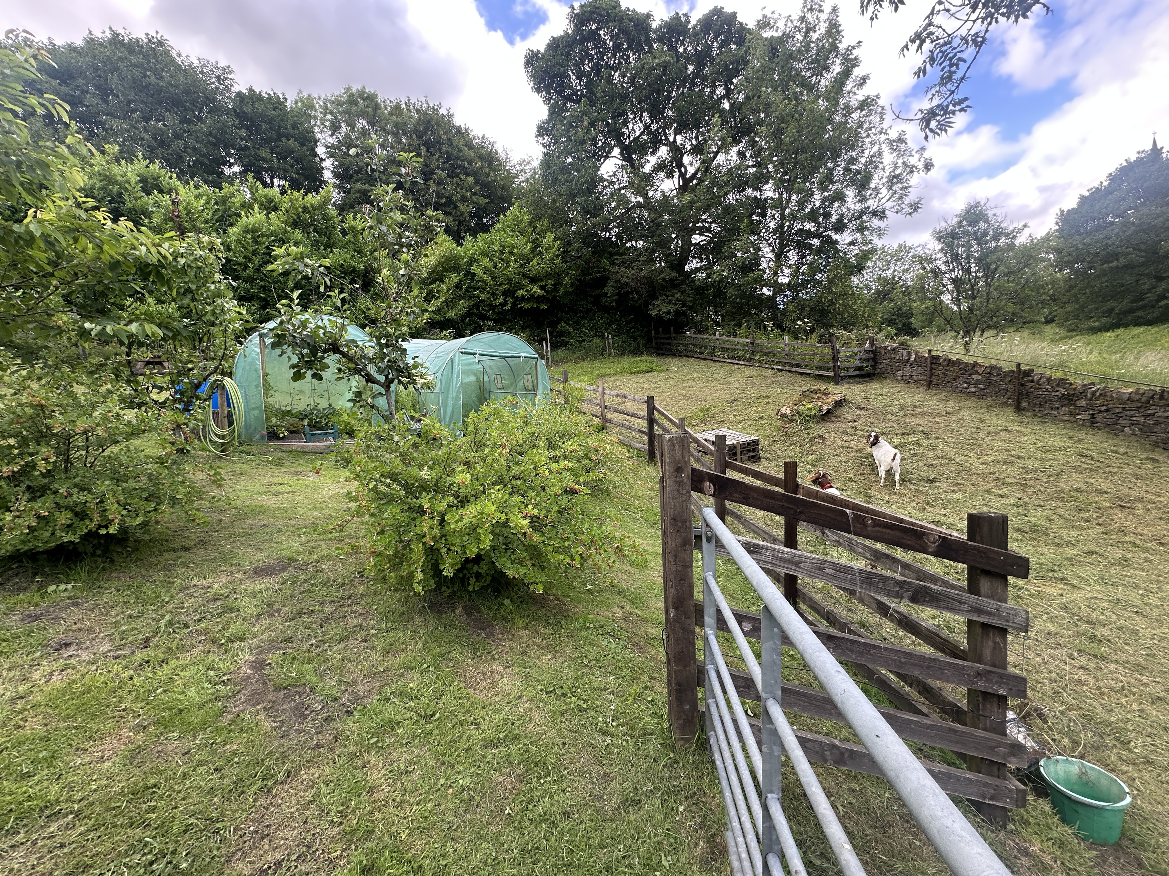 Property image #8