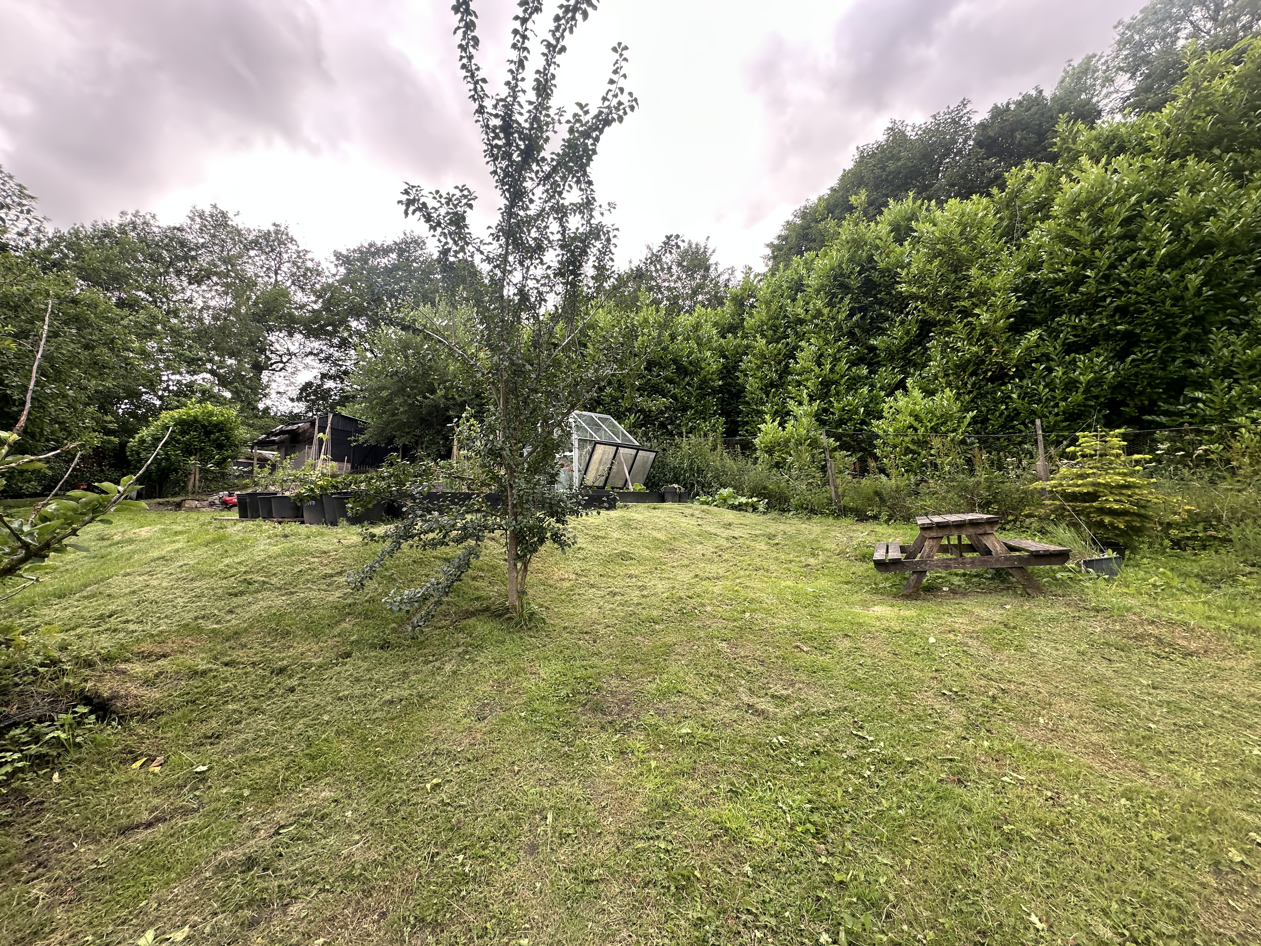 Property image #9