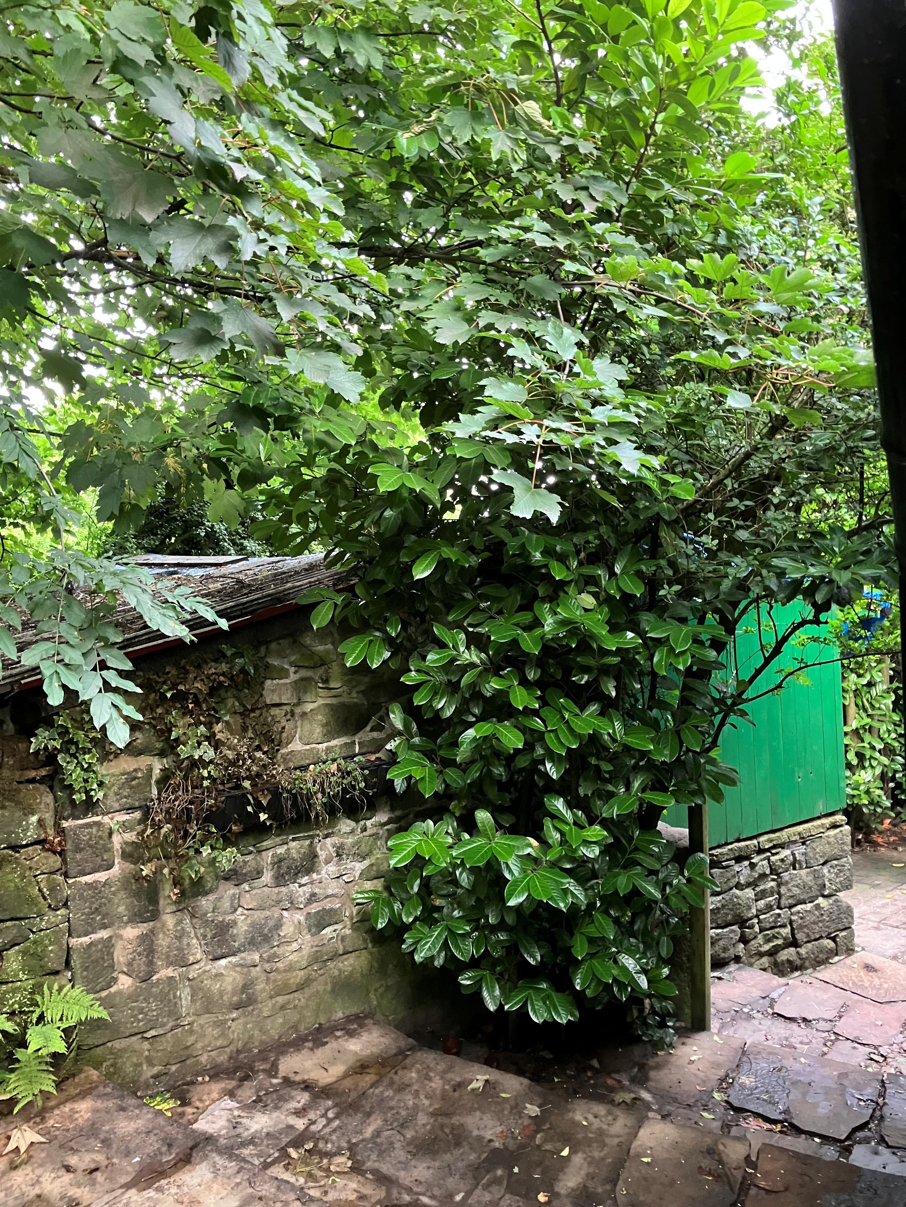 The Paddock, Holcombe Village, Bury, Lancashire BL8 4LZ