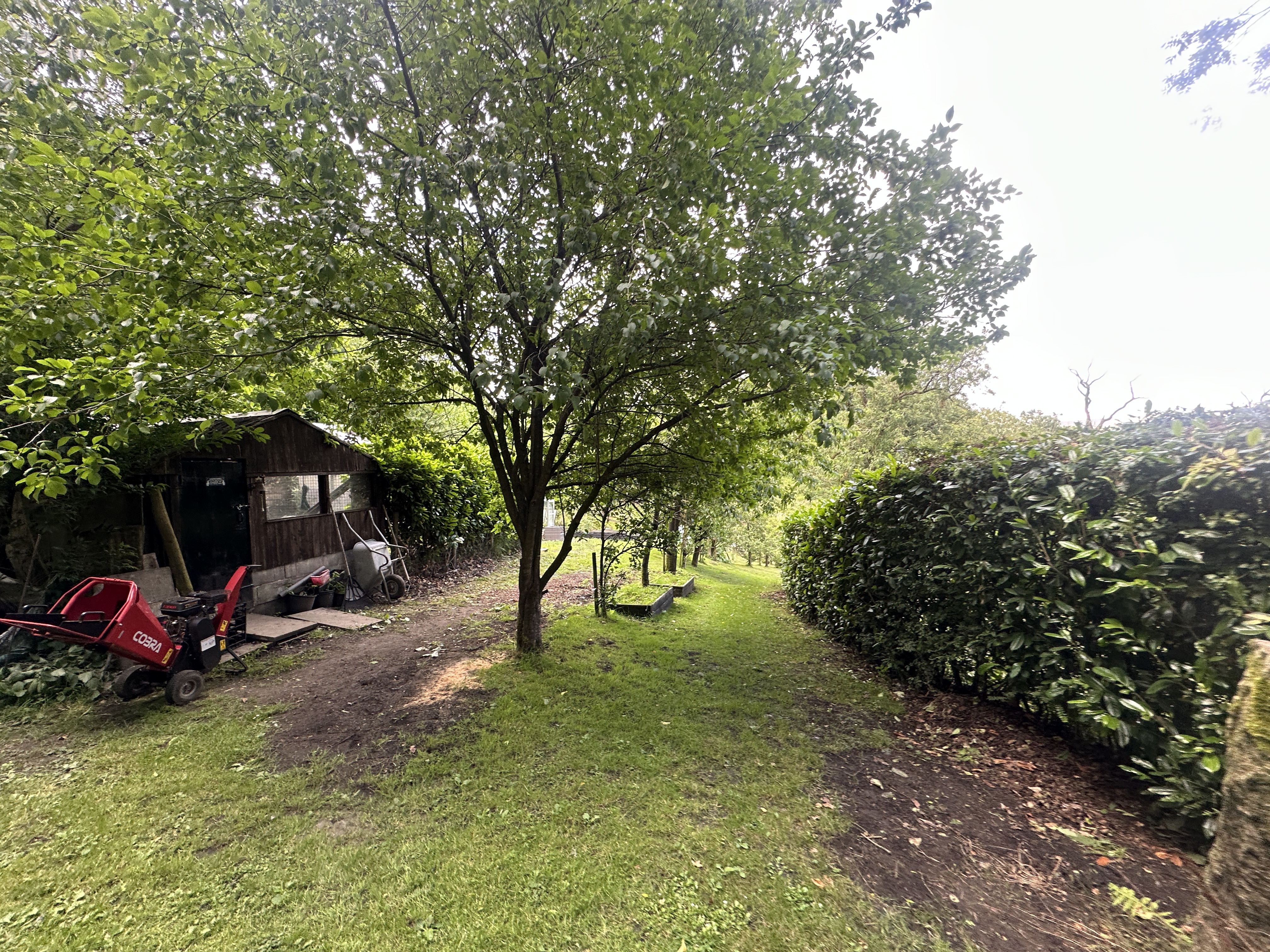 Property image #5
