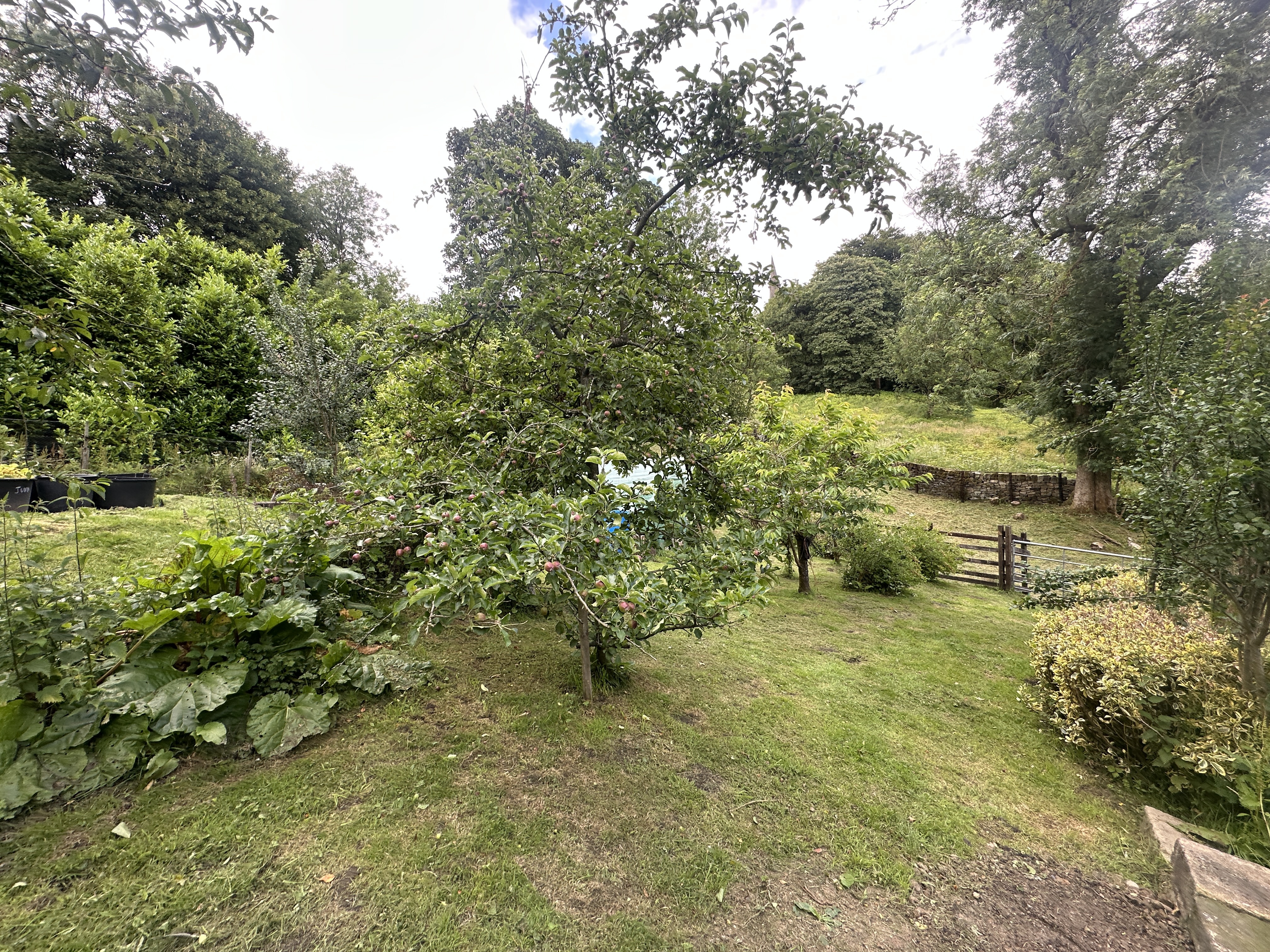 Property image #6
