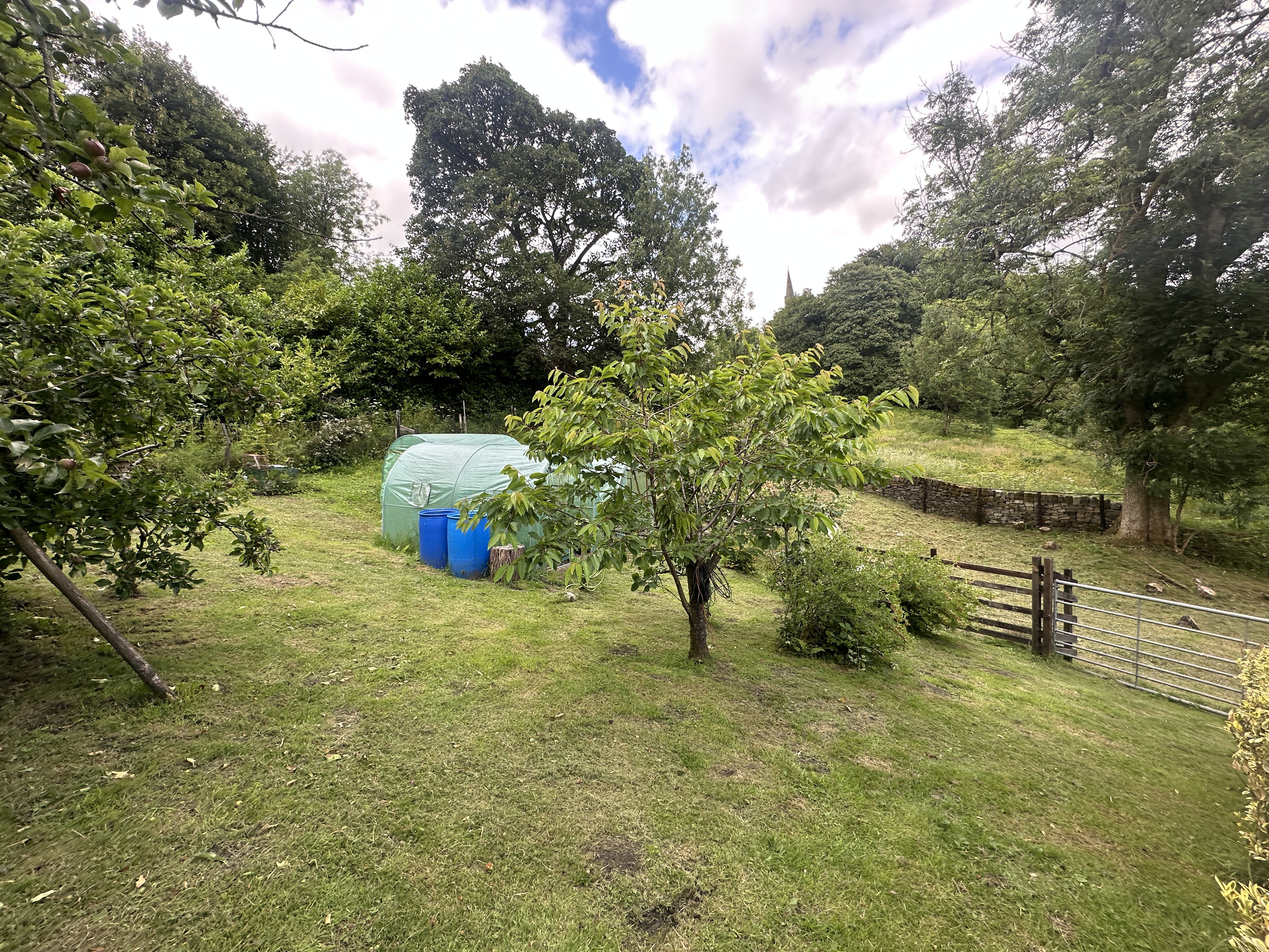 Property image #7