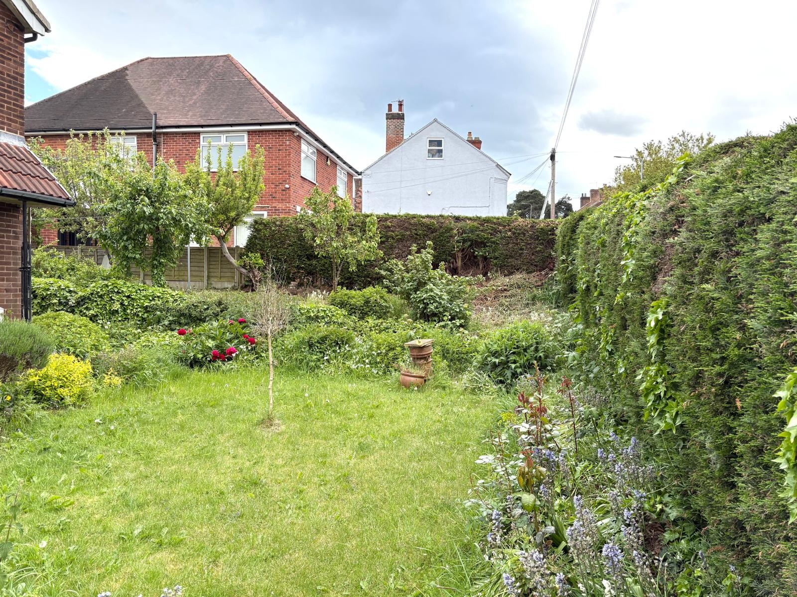 Property image #4