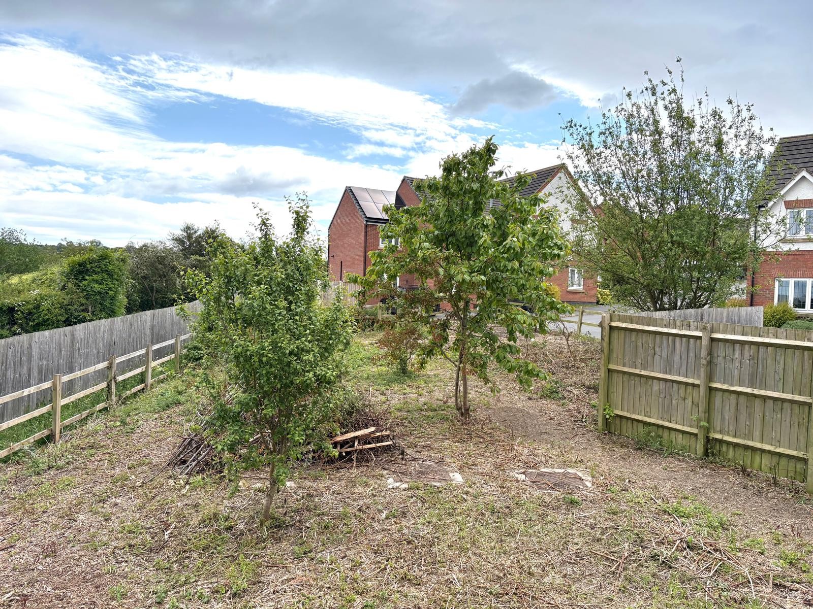 Property image #6