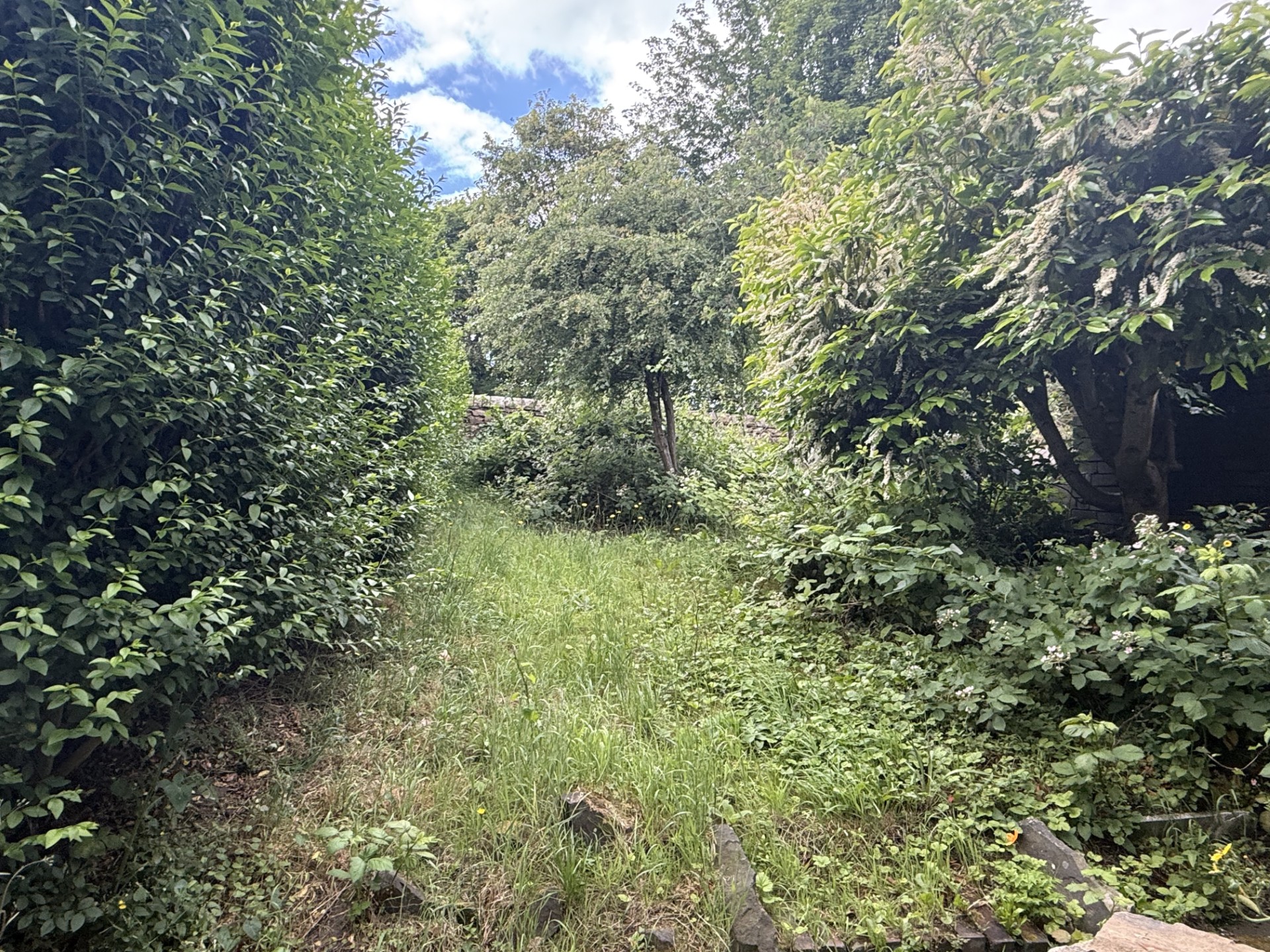 Property image #2