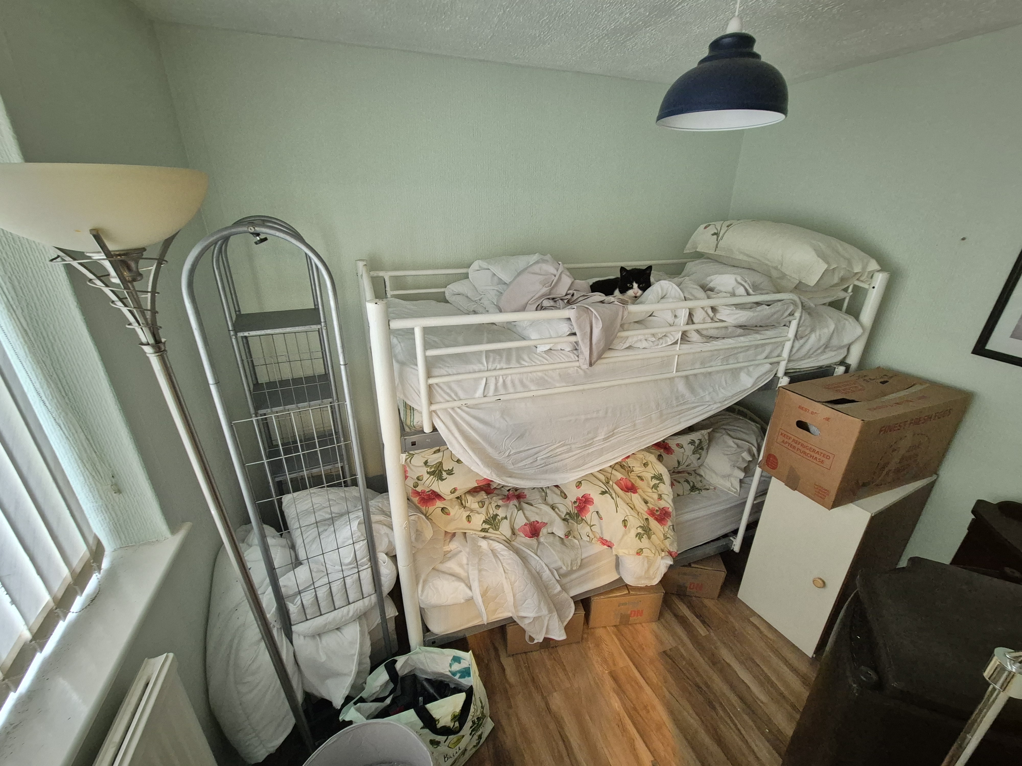 Property image #6
