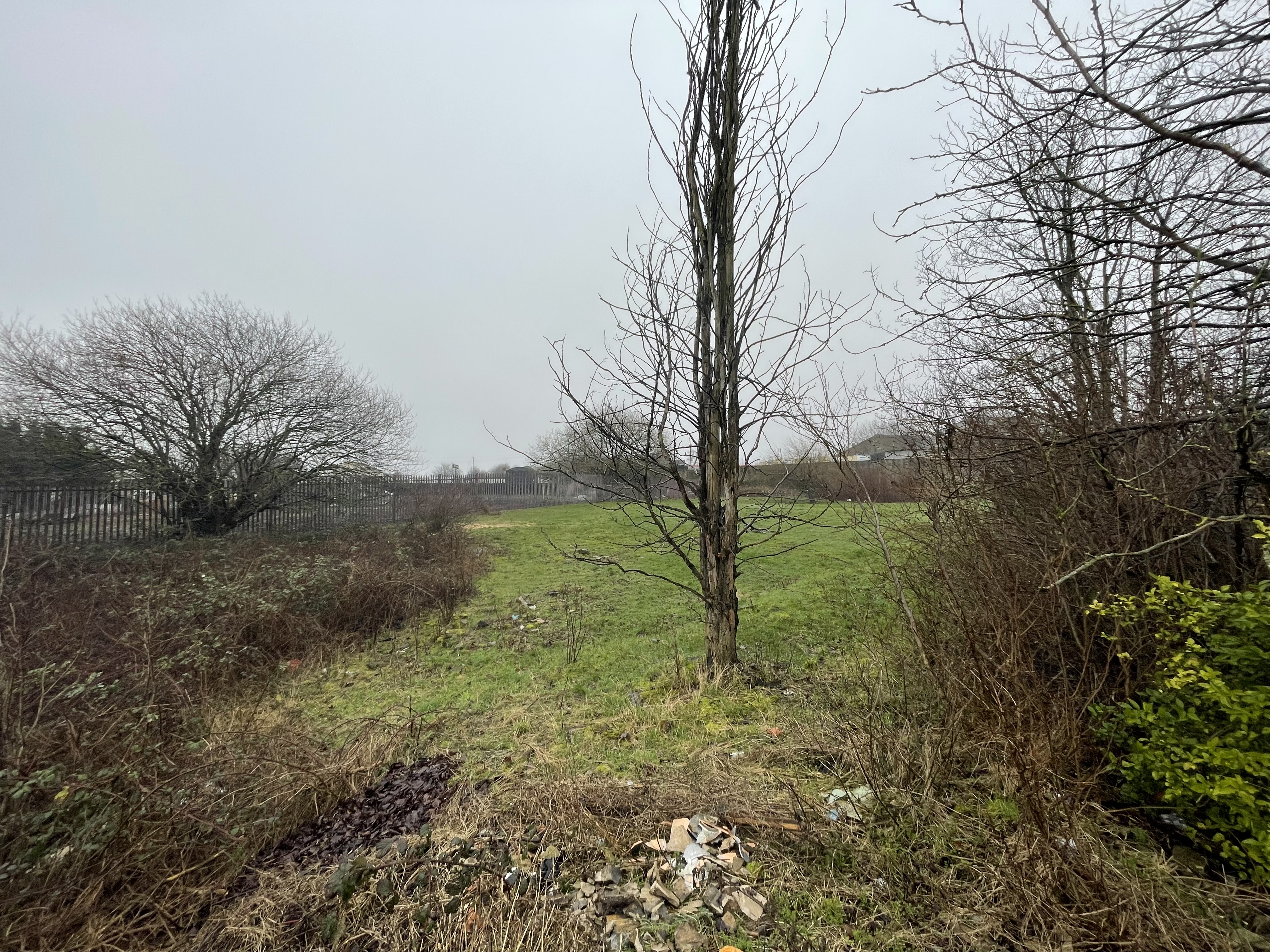 Property image #4