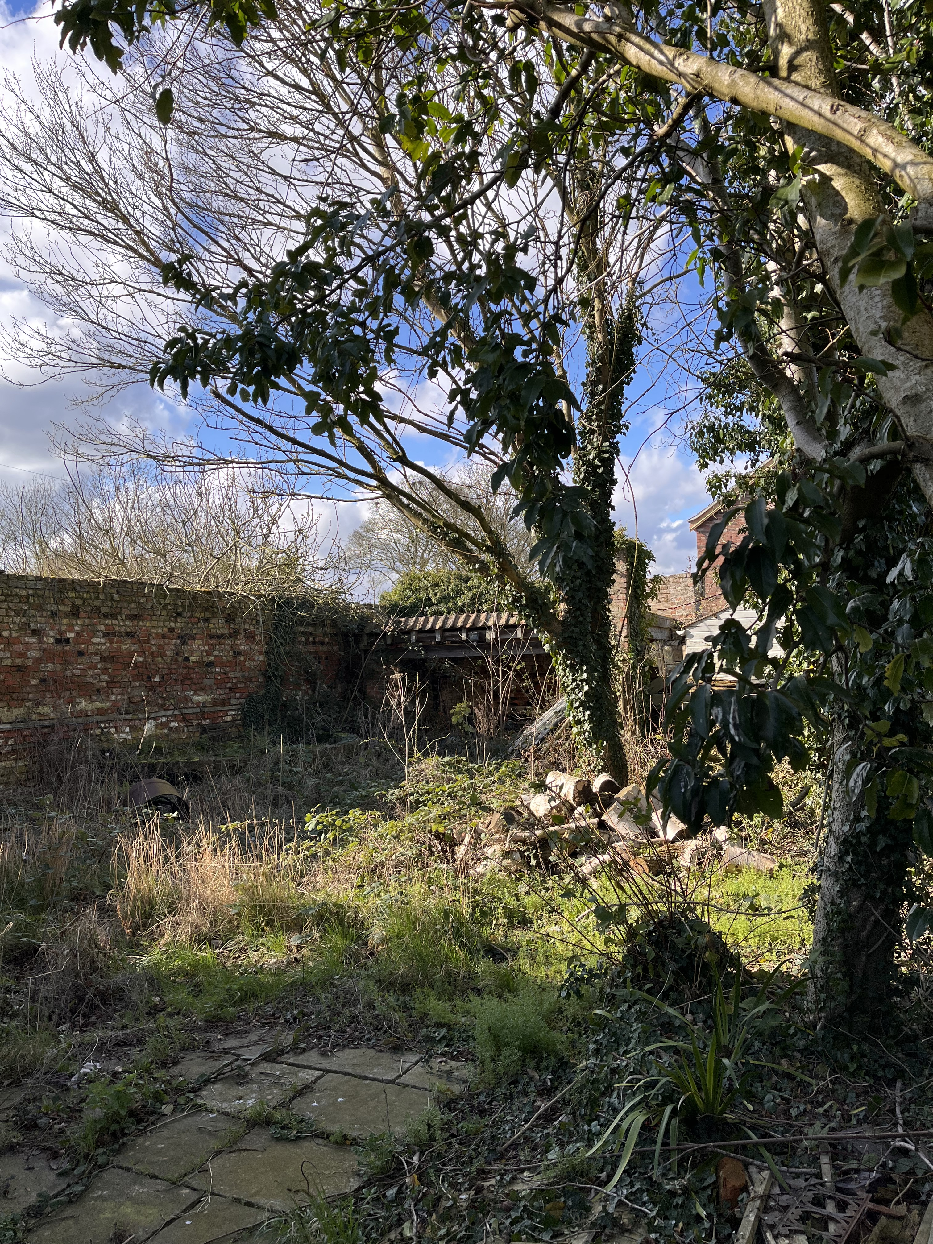 Property image #7