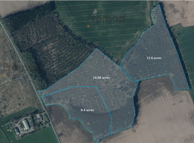 14.08 acres Land at Muirwood East, Dunning, Perth, Perth and Kinross PH2 0QN