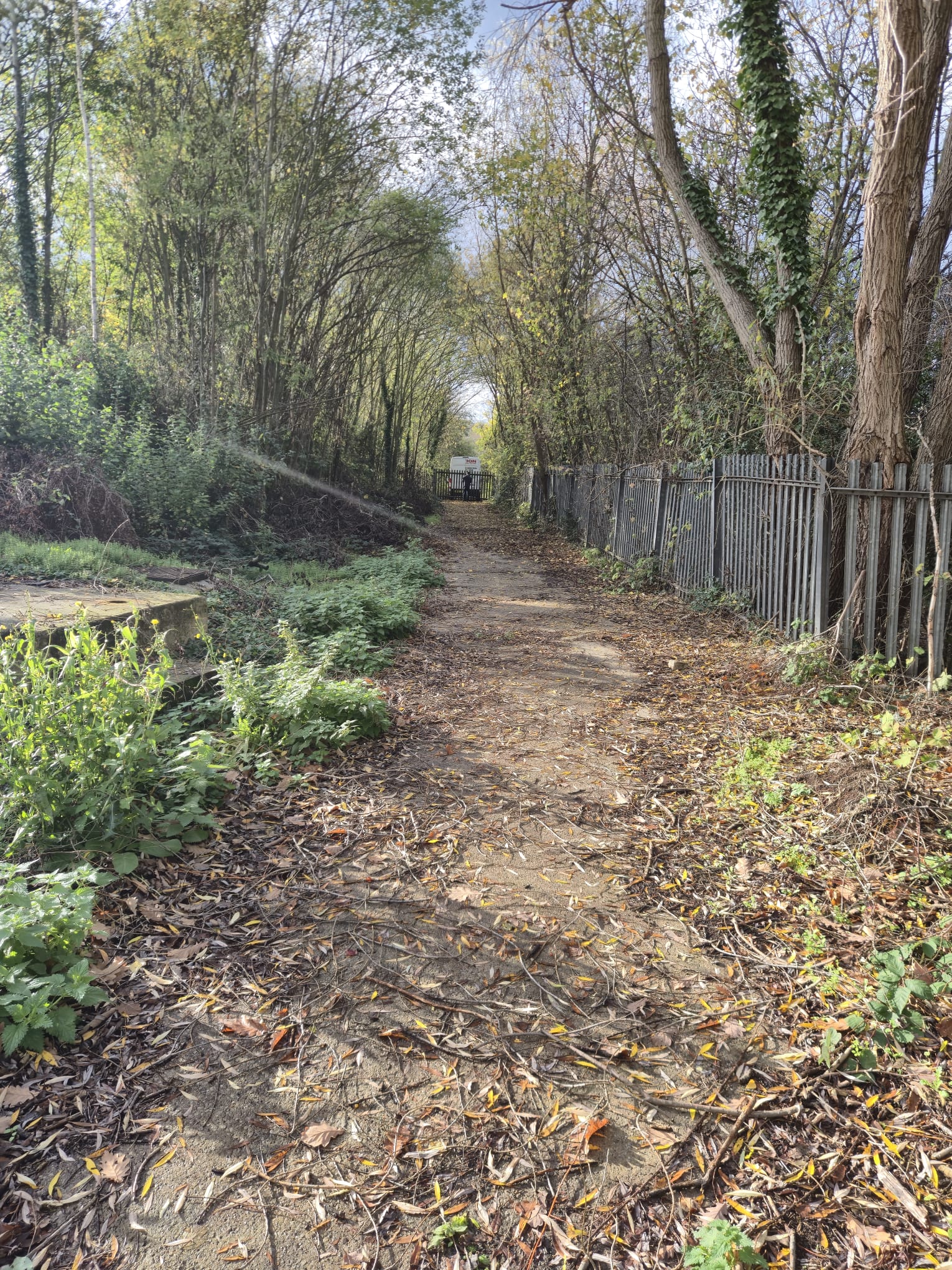 Property image #4
