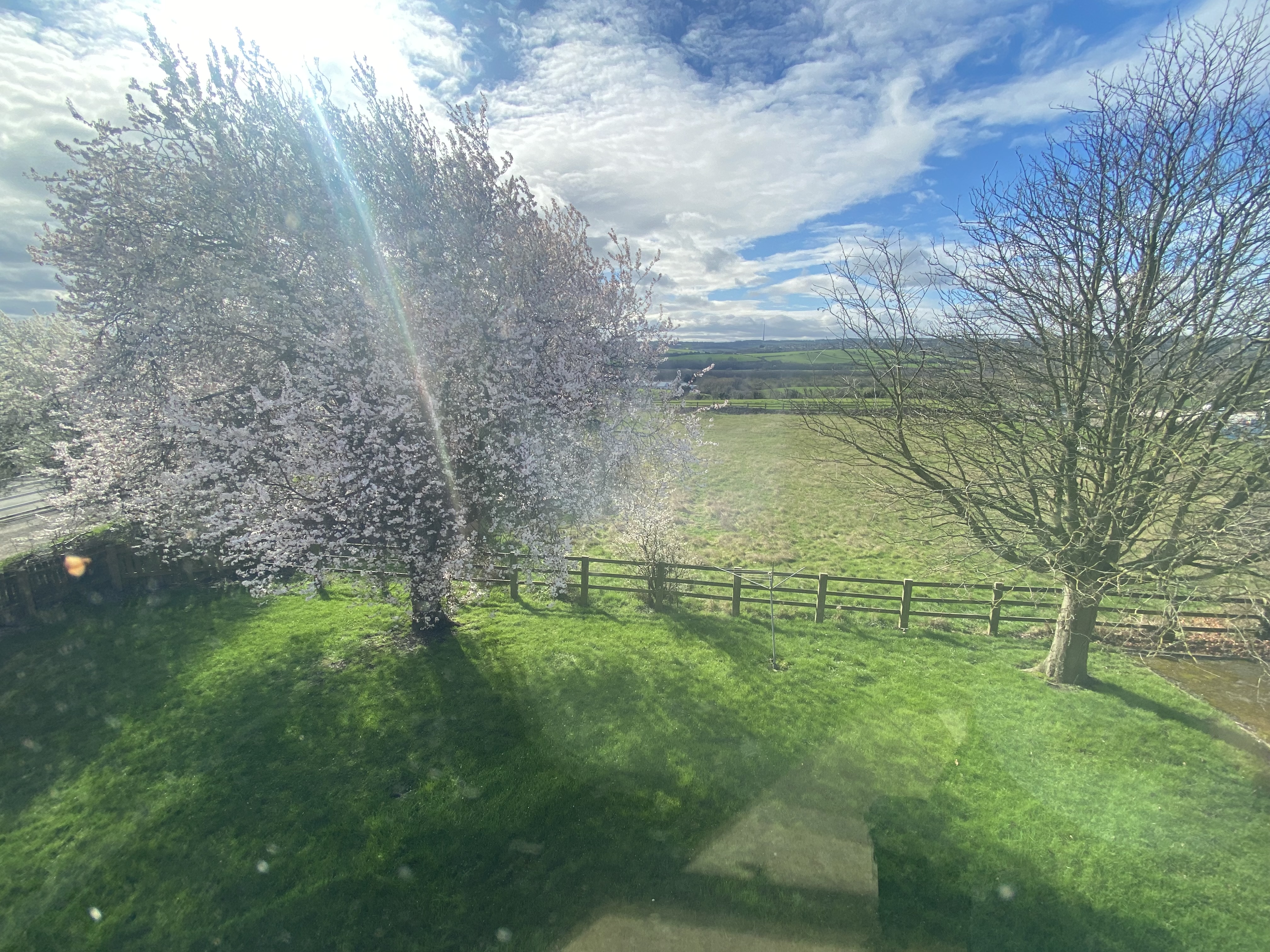 Property image #9