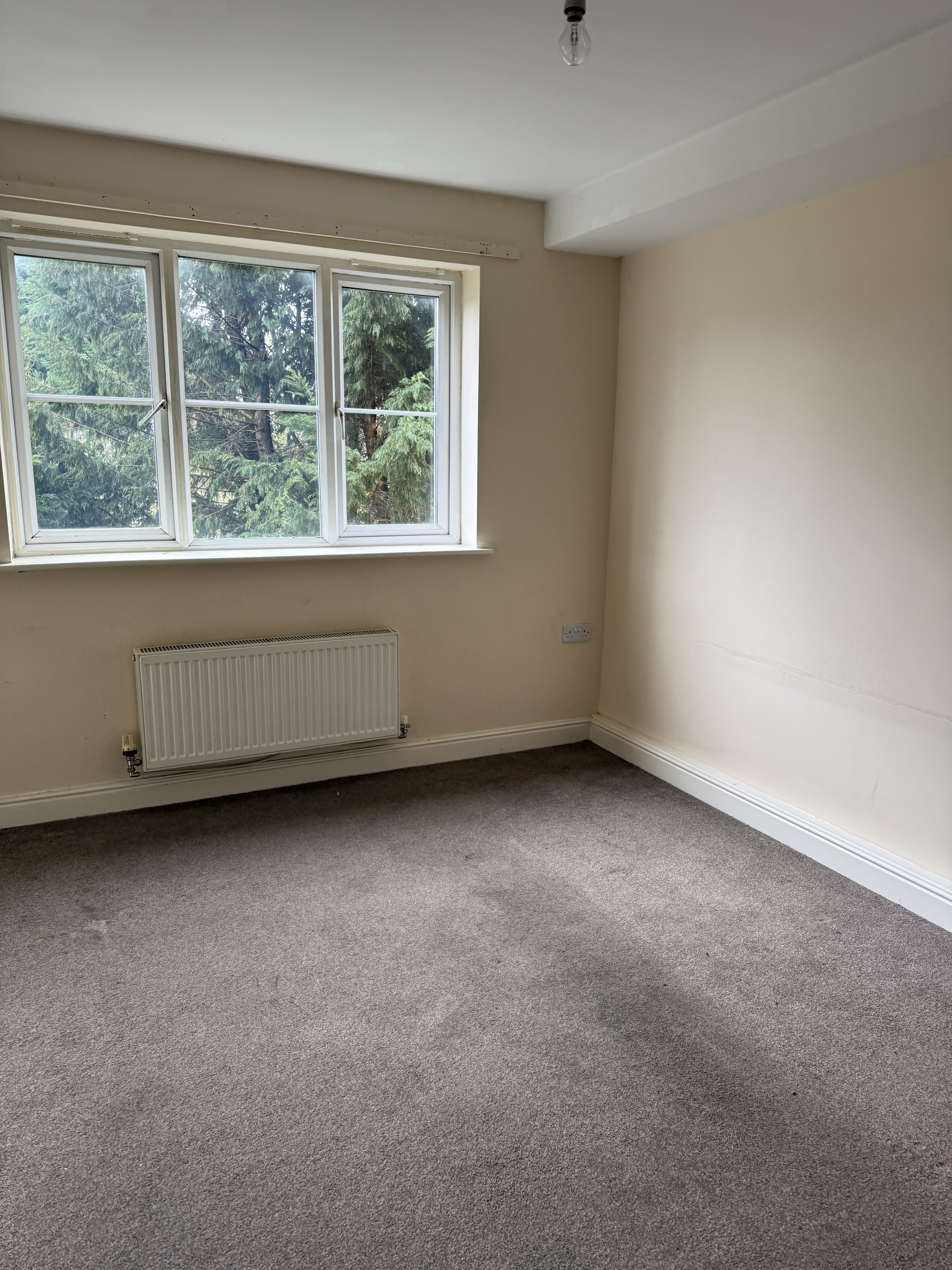 Property image #5
