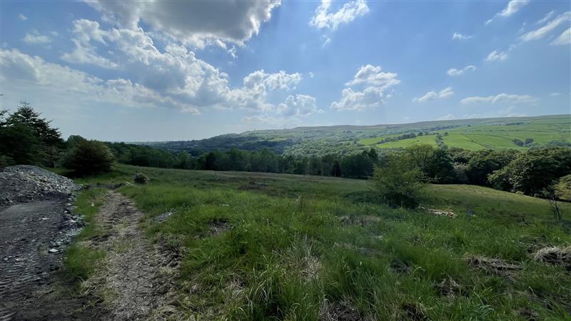 Property image #8