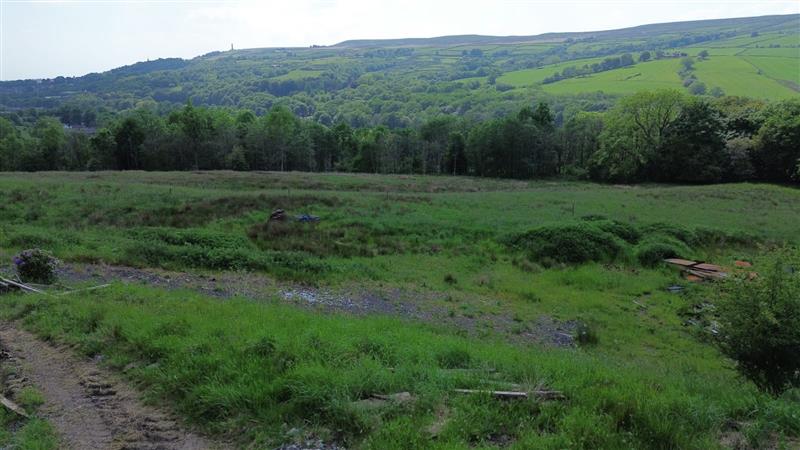 Property image #7