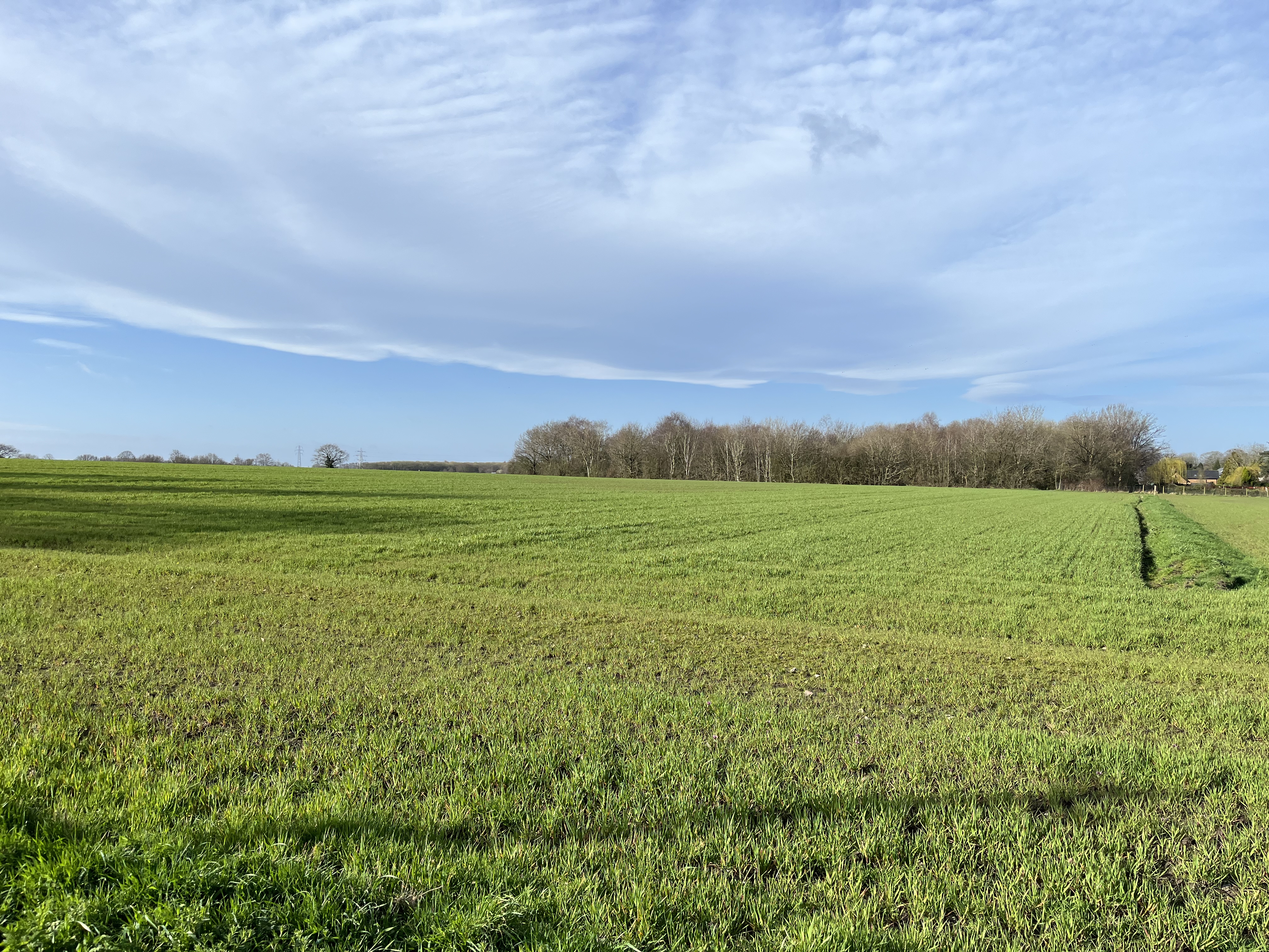 Property image #5