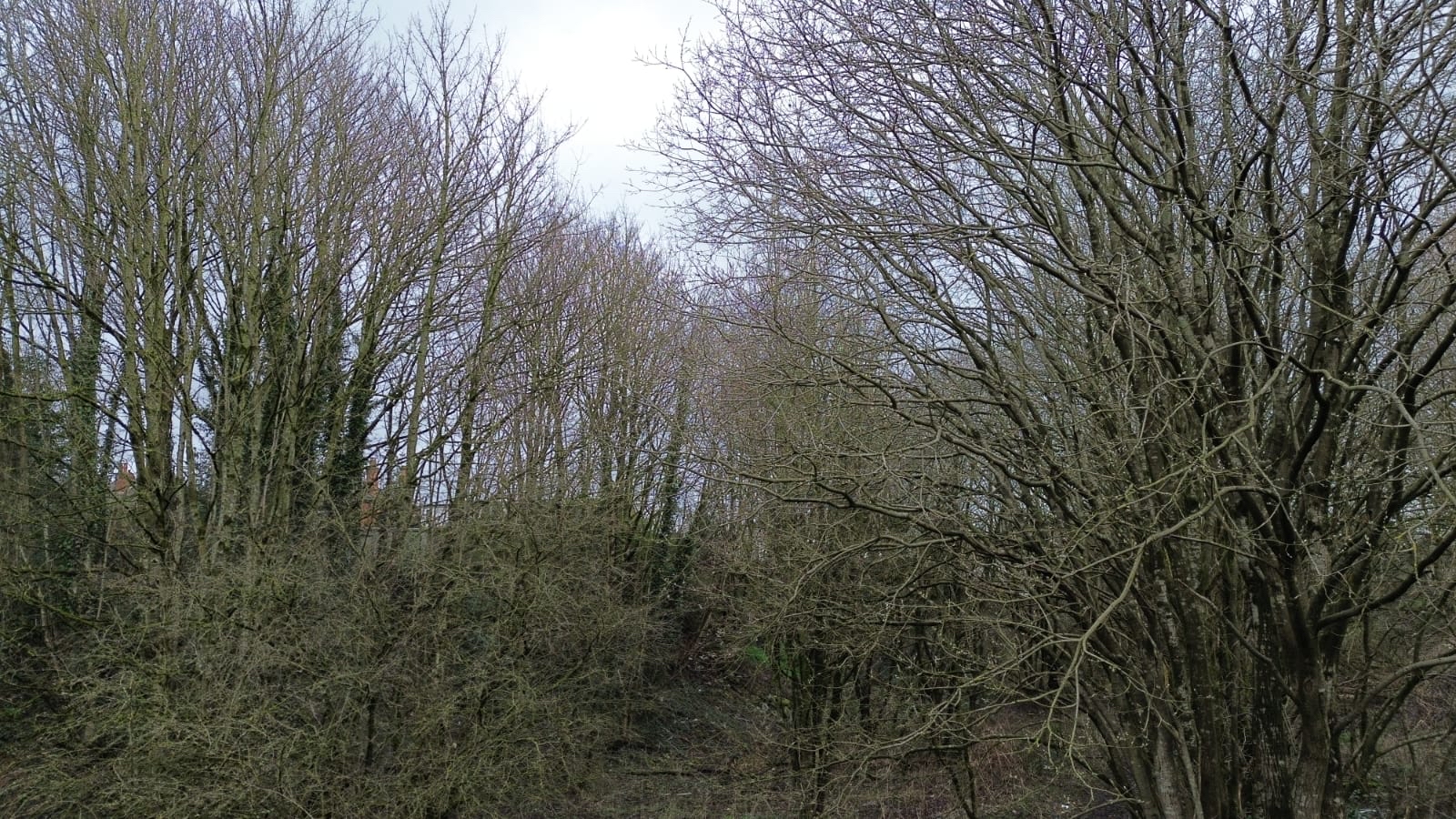 Property image #8