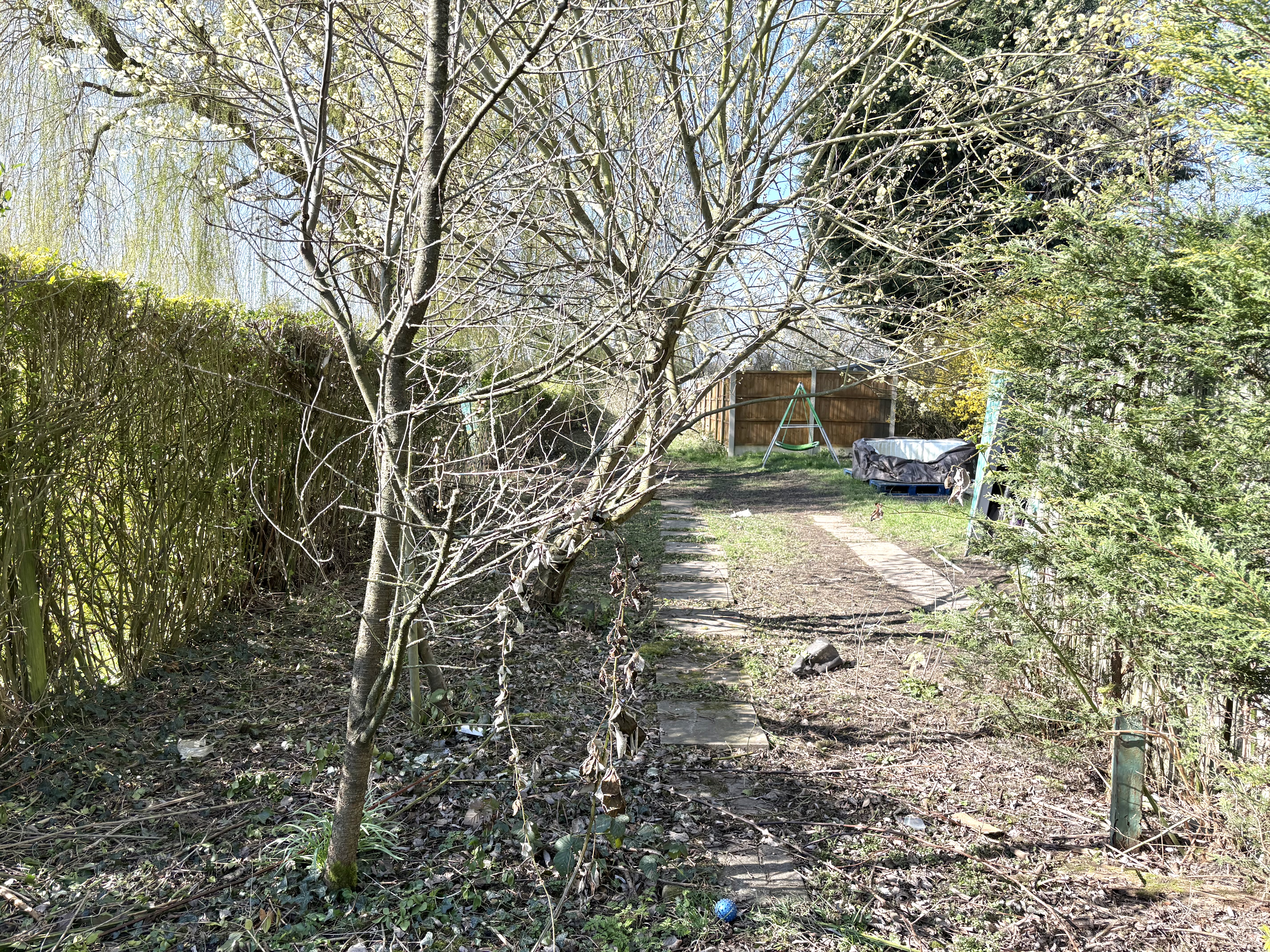 Property image #7