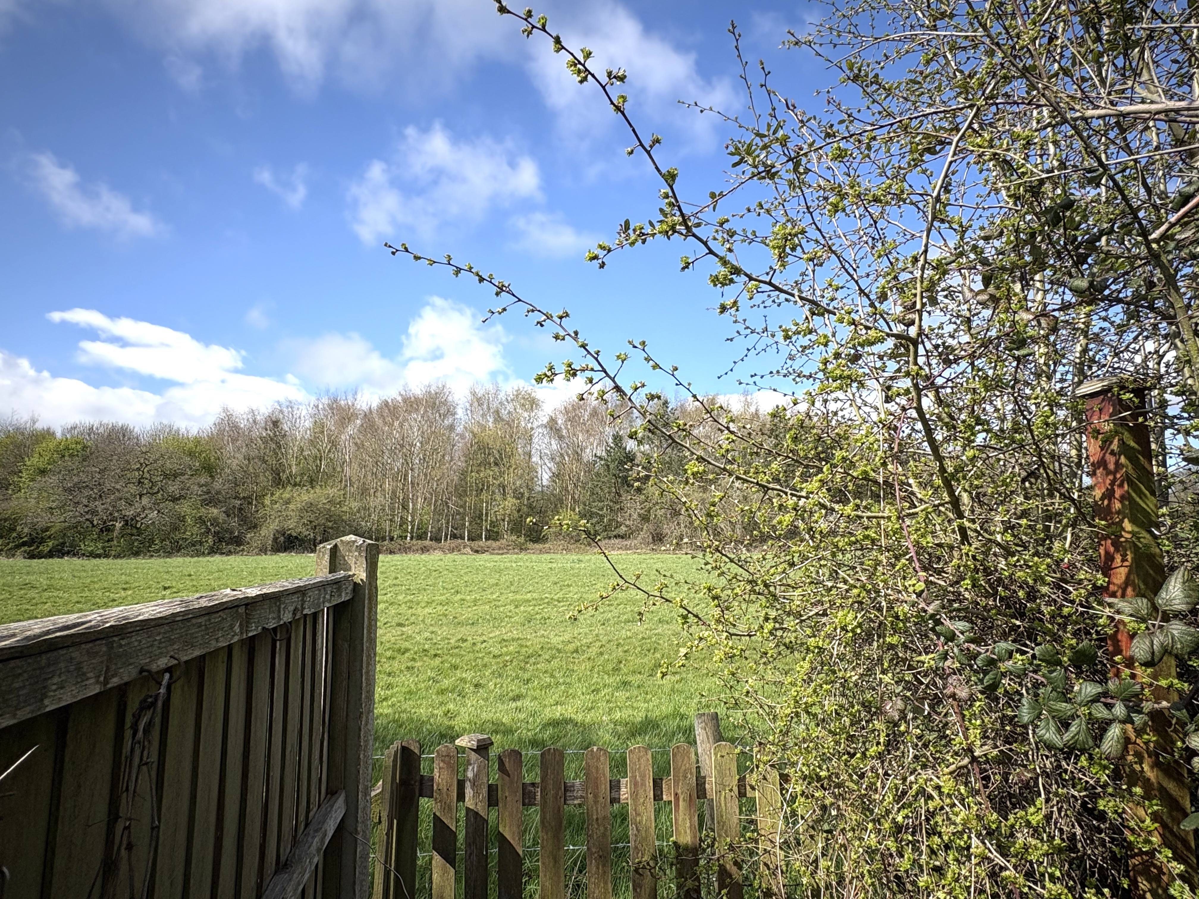 52 Oaklands Avenue, Littleover, Derby DE23 2QH