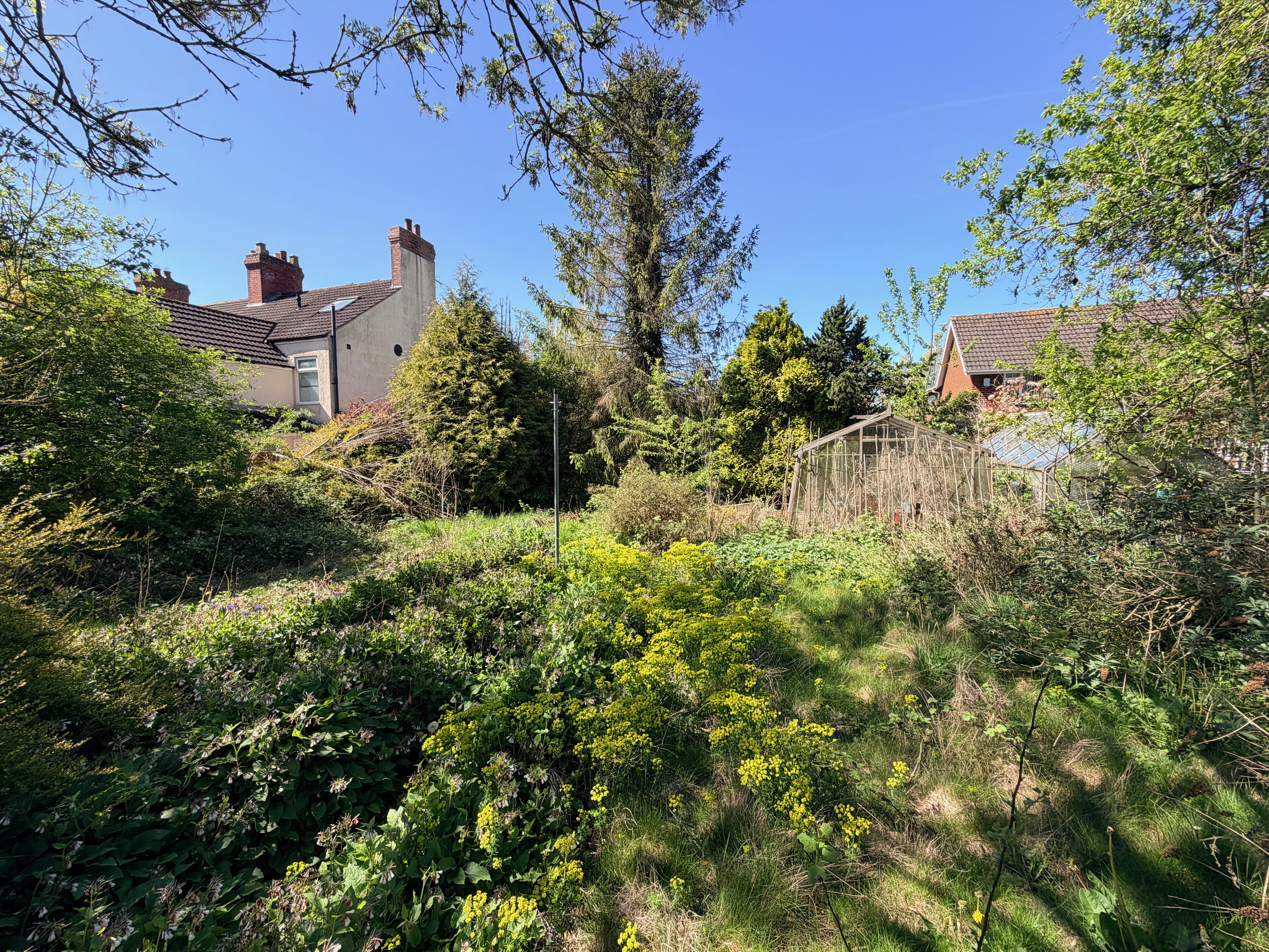 Property image #2