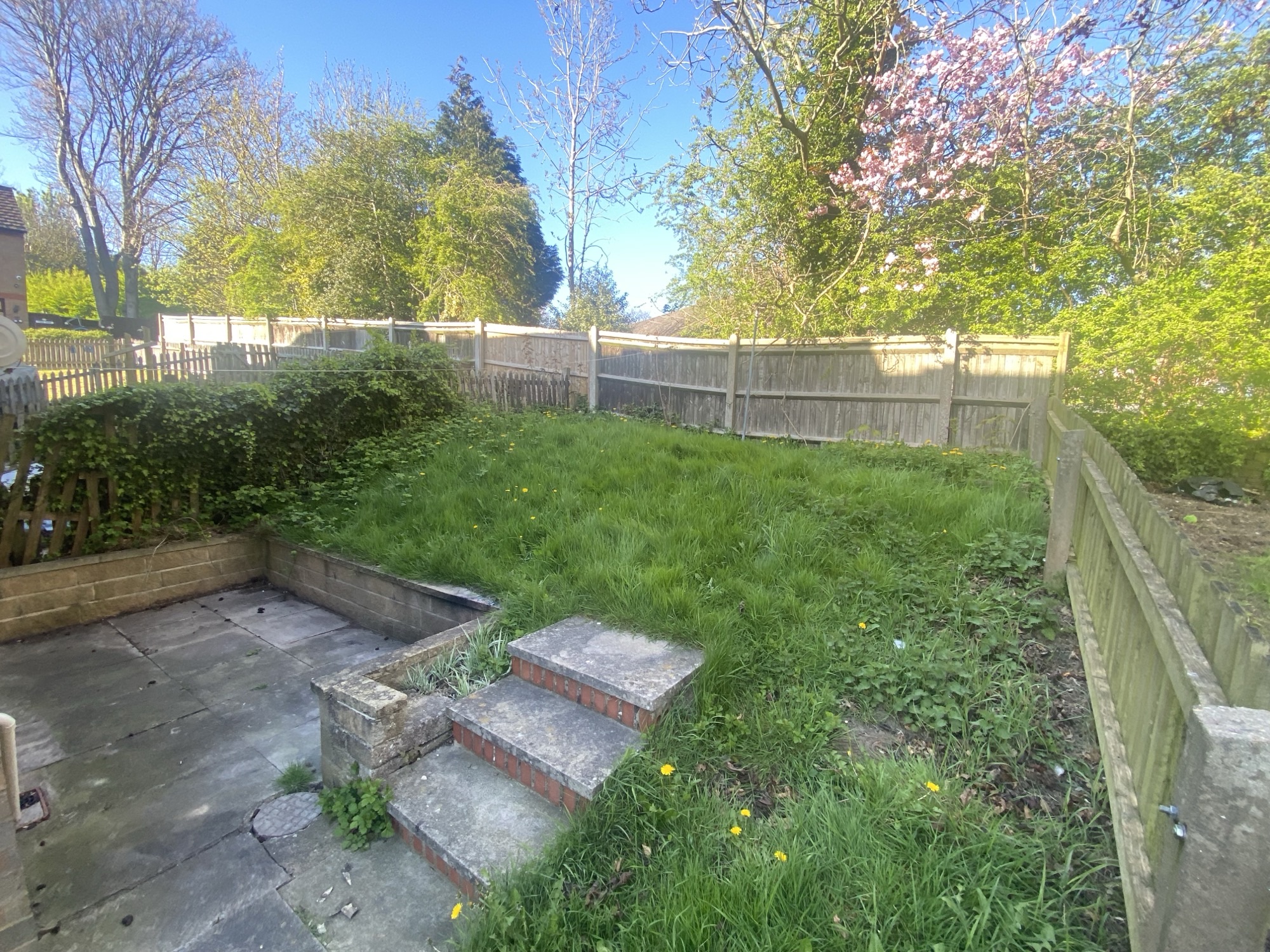 Property image #3
