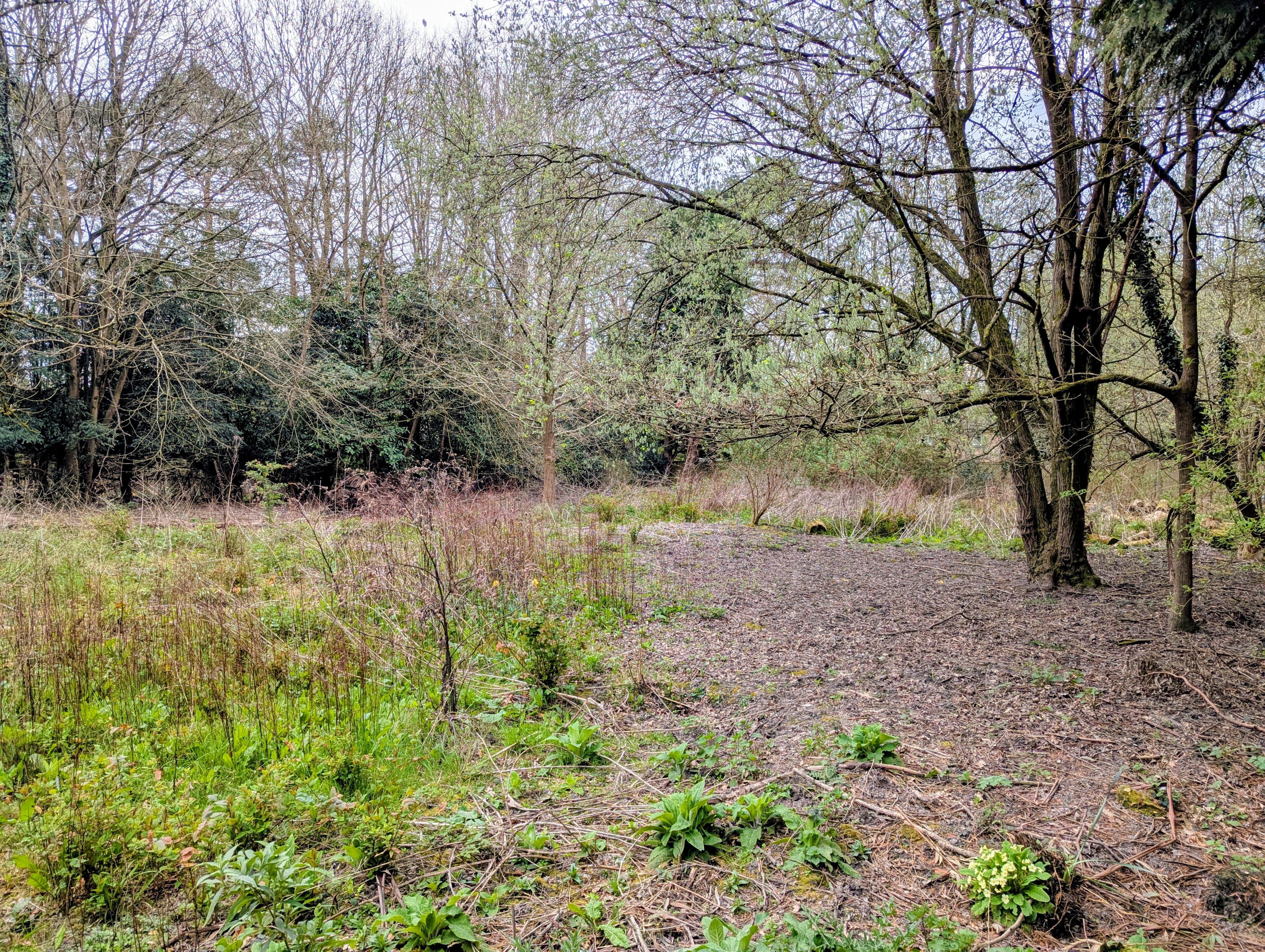 Property image #6