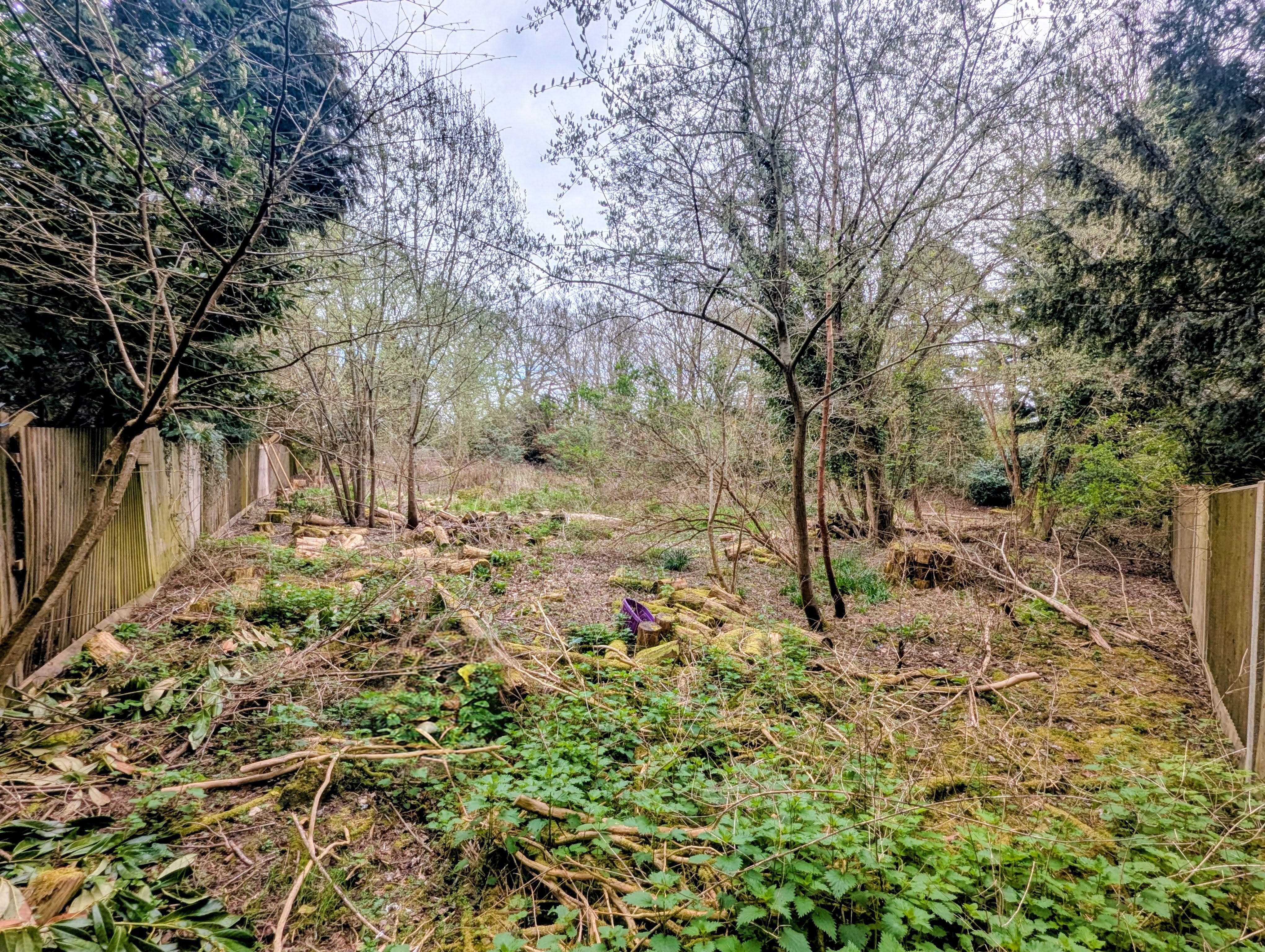Property image #4