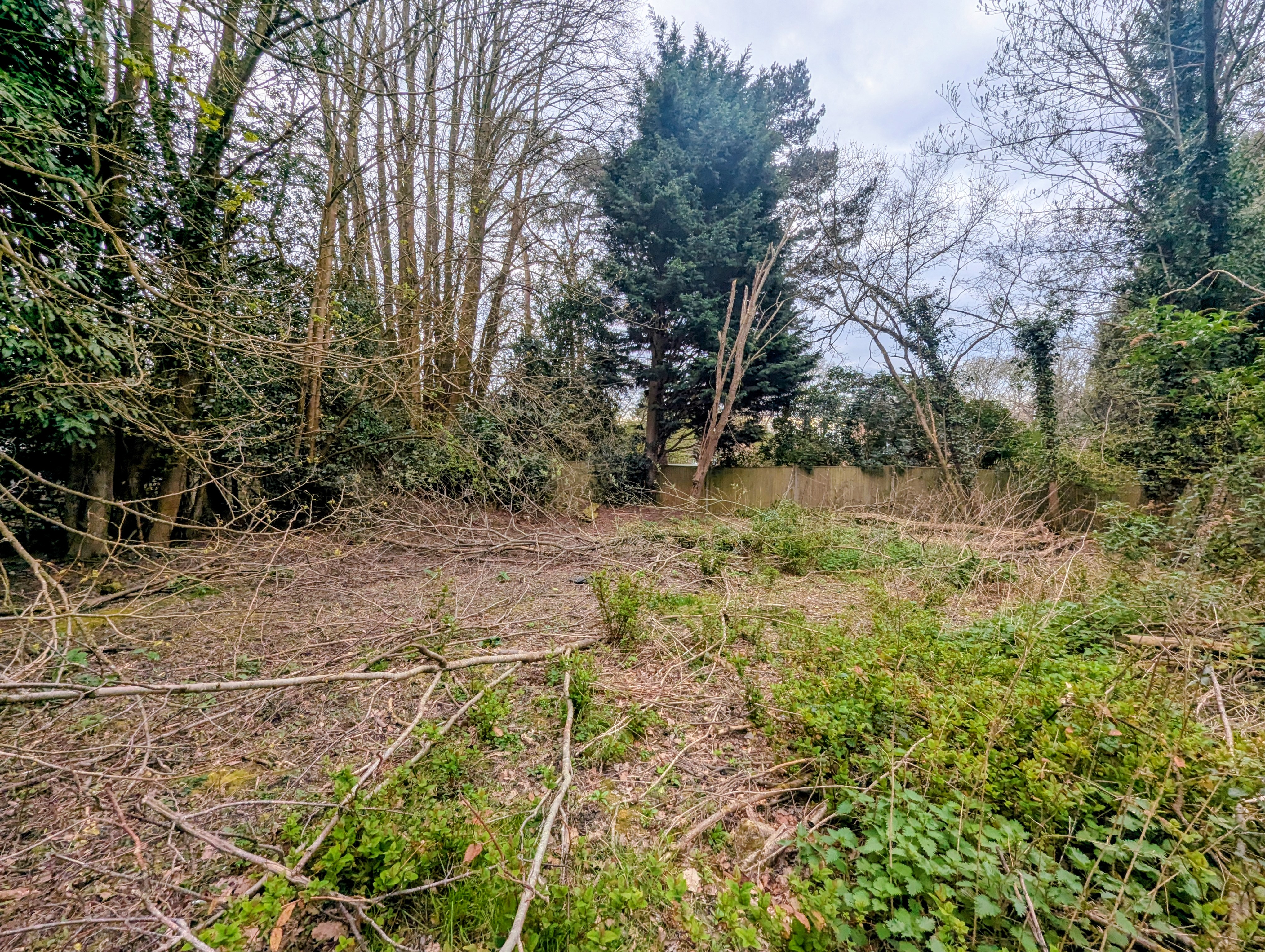 Property image #5