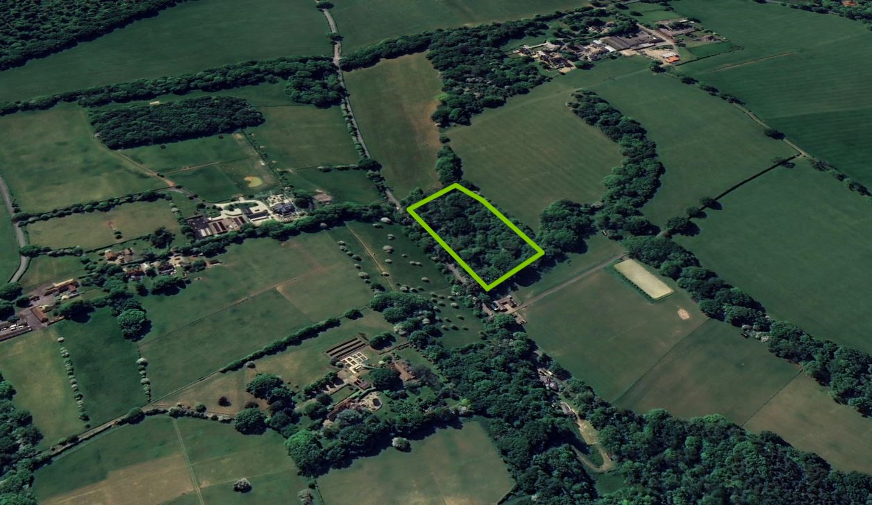 Property image #5