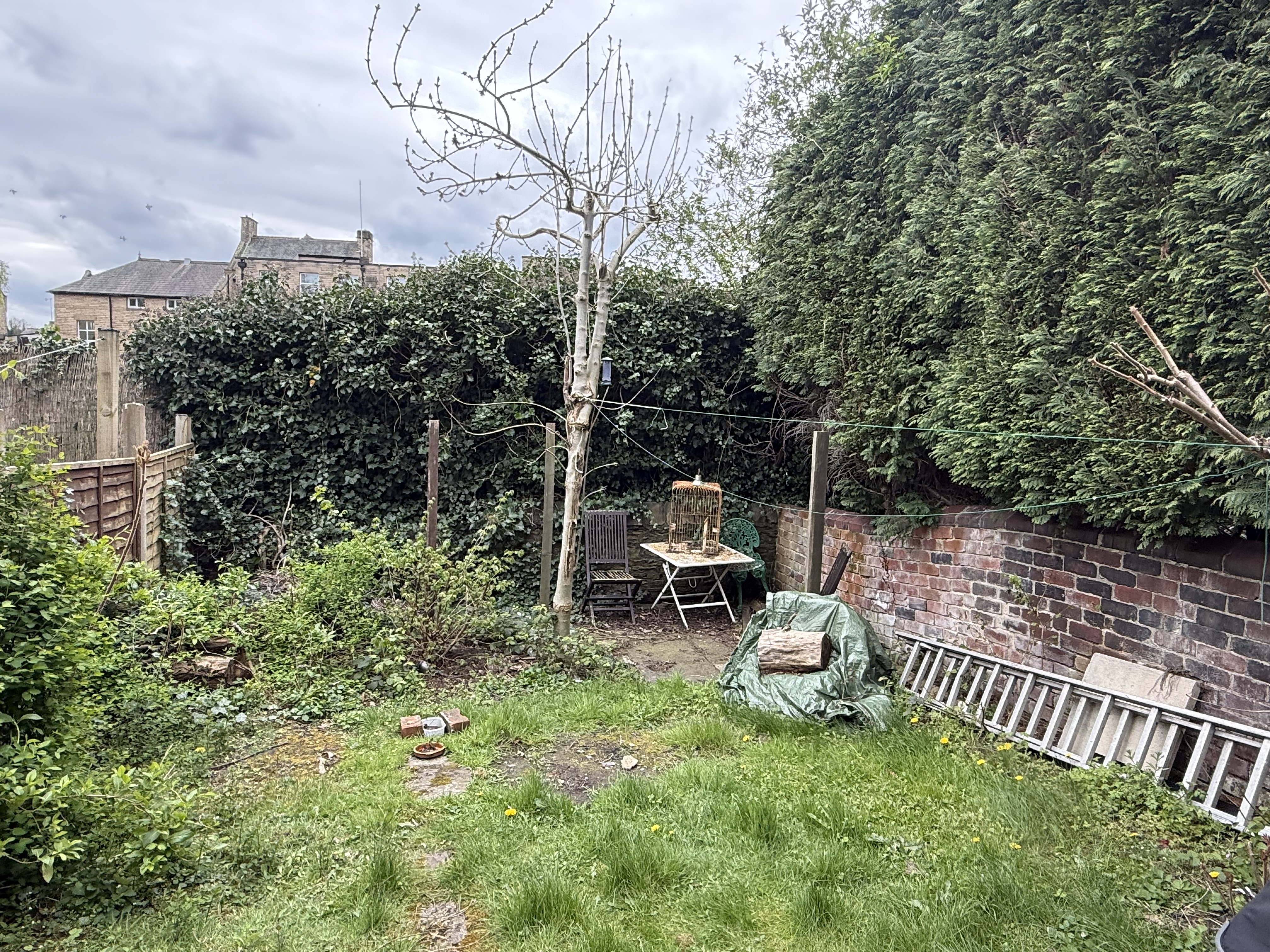 Property image #7