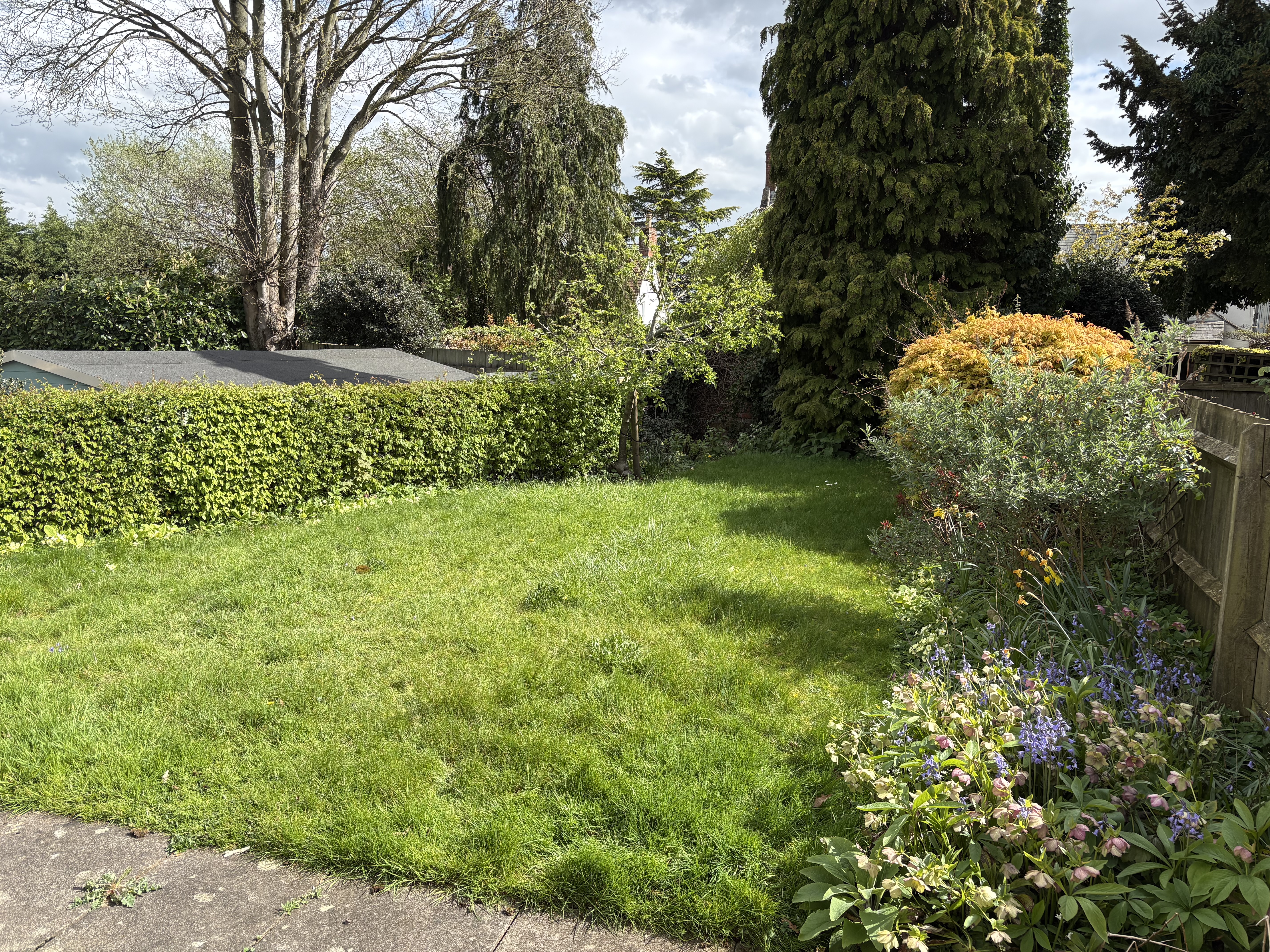 Property image #8