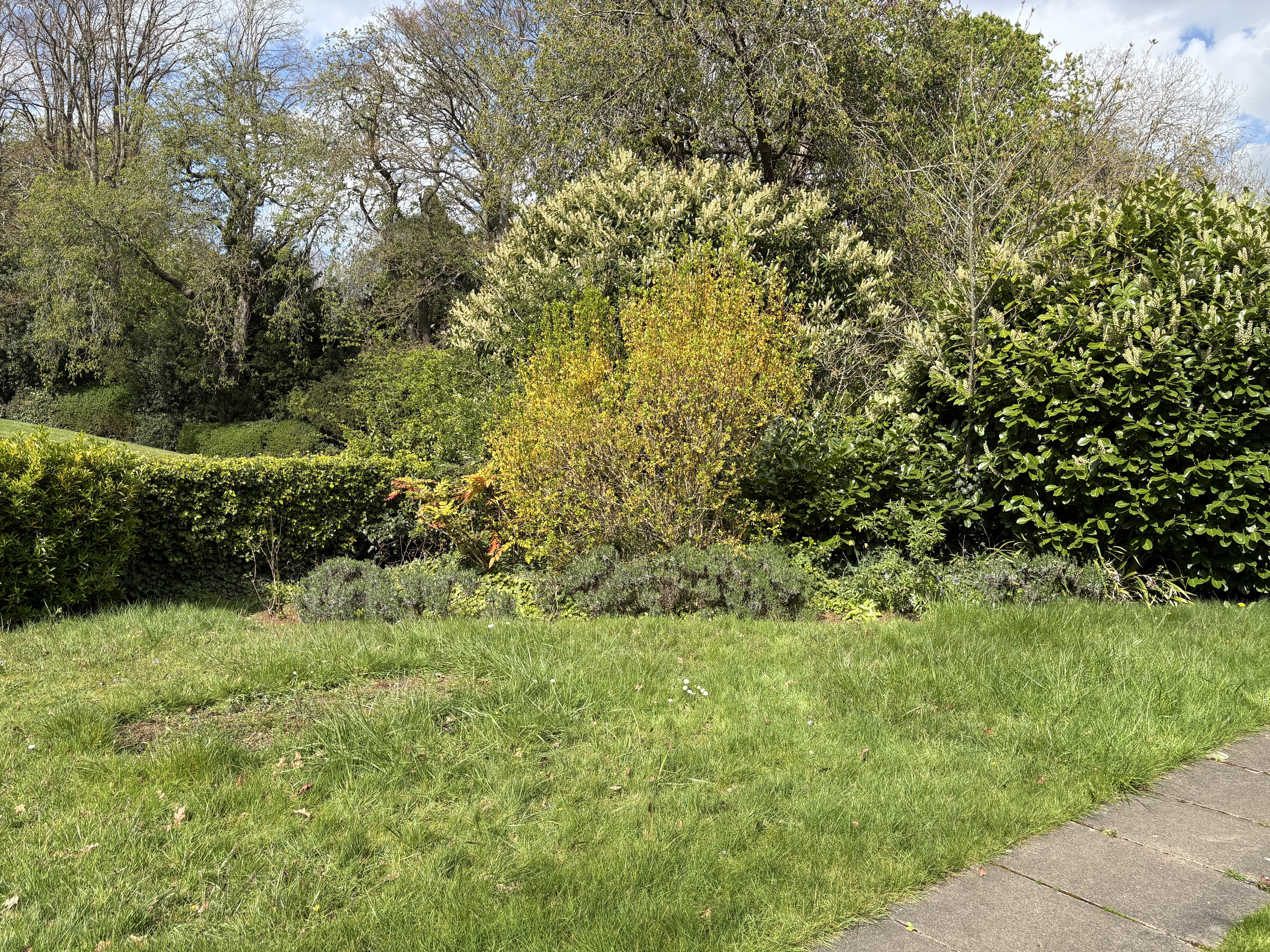 Property image #9