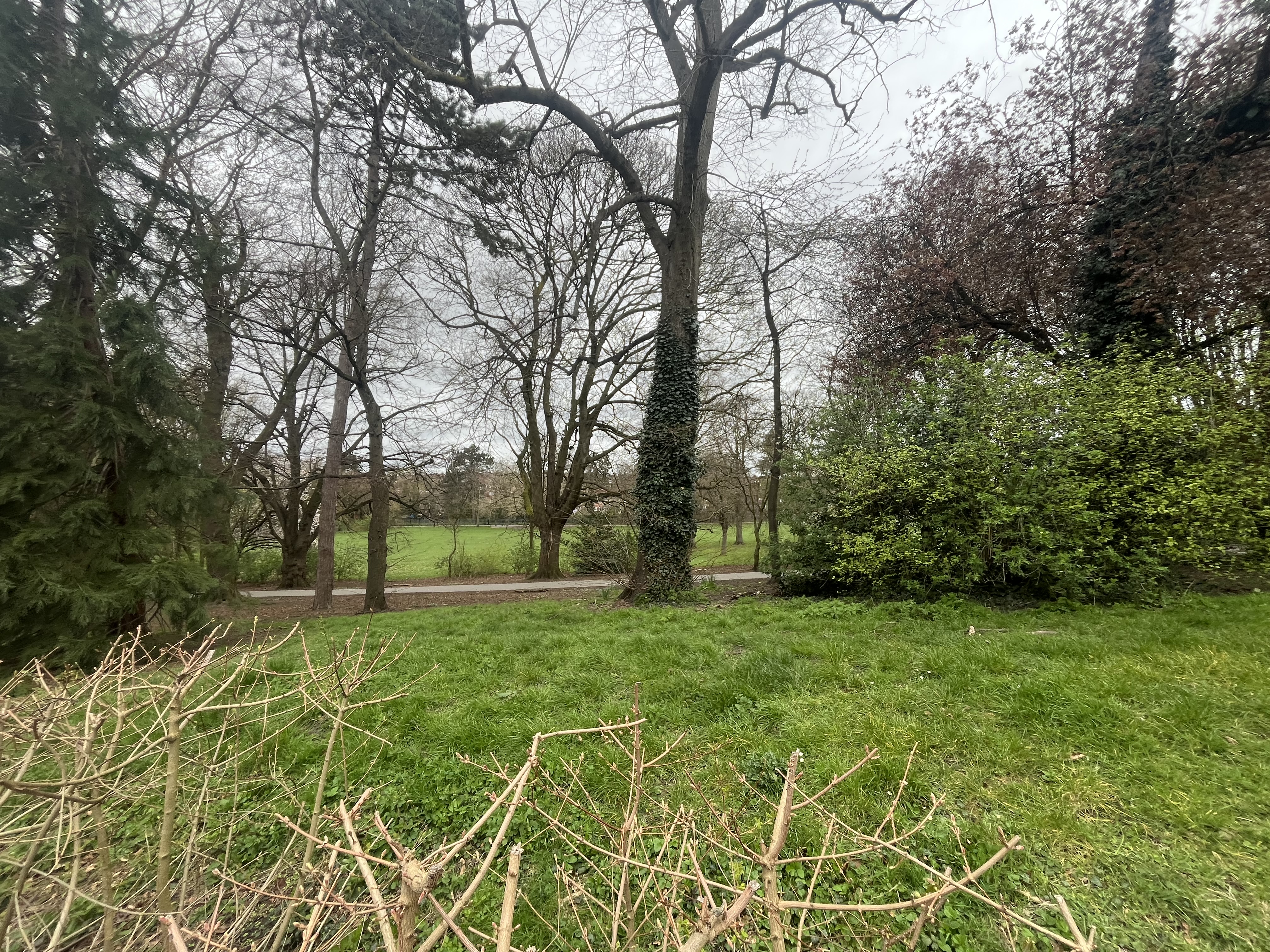 Property image #9