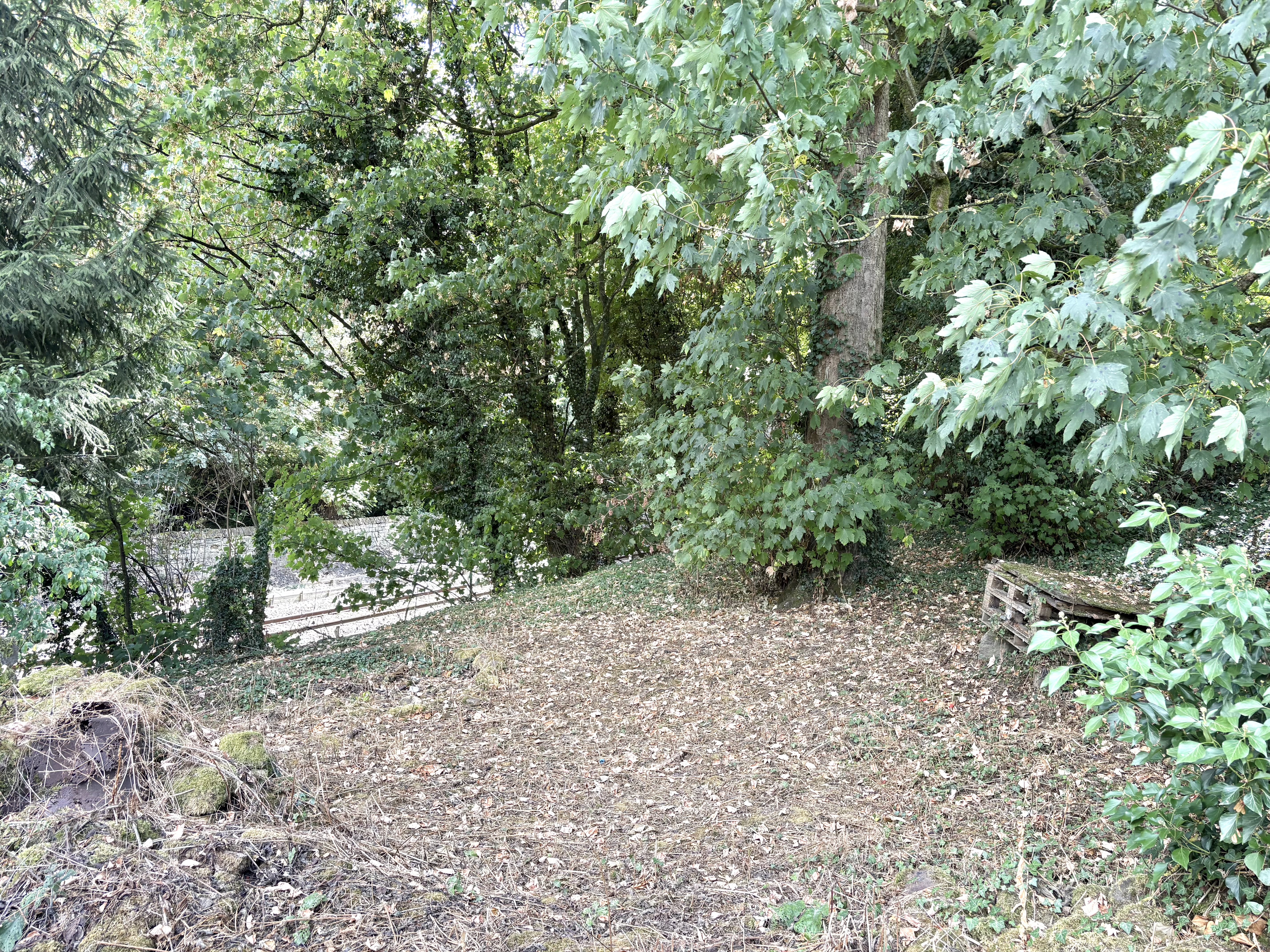 Property image #3