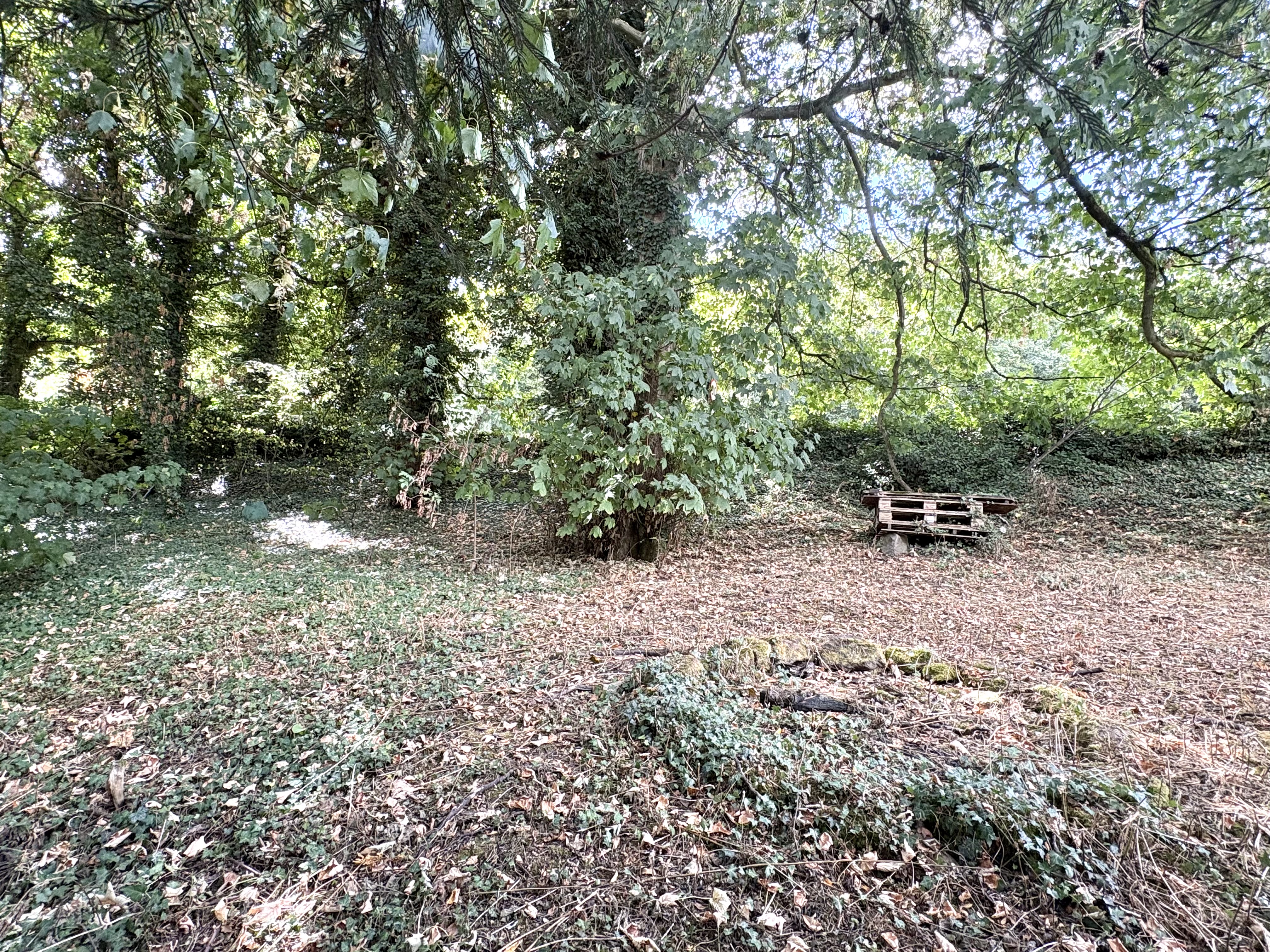 Property image #4
