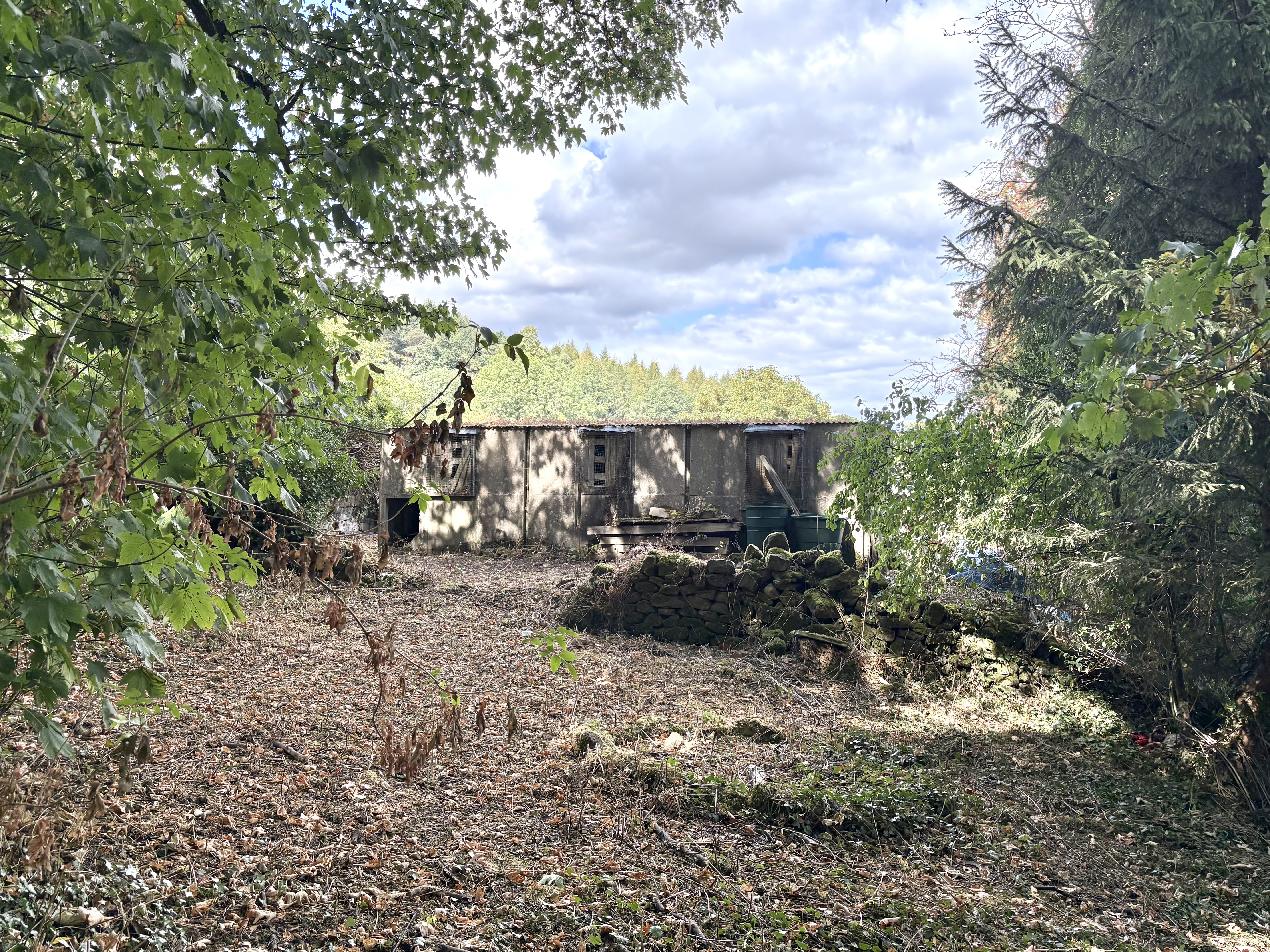 Property image #5
