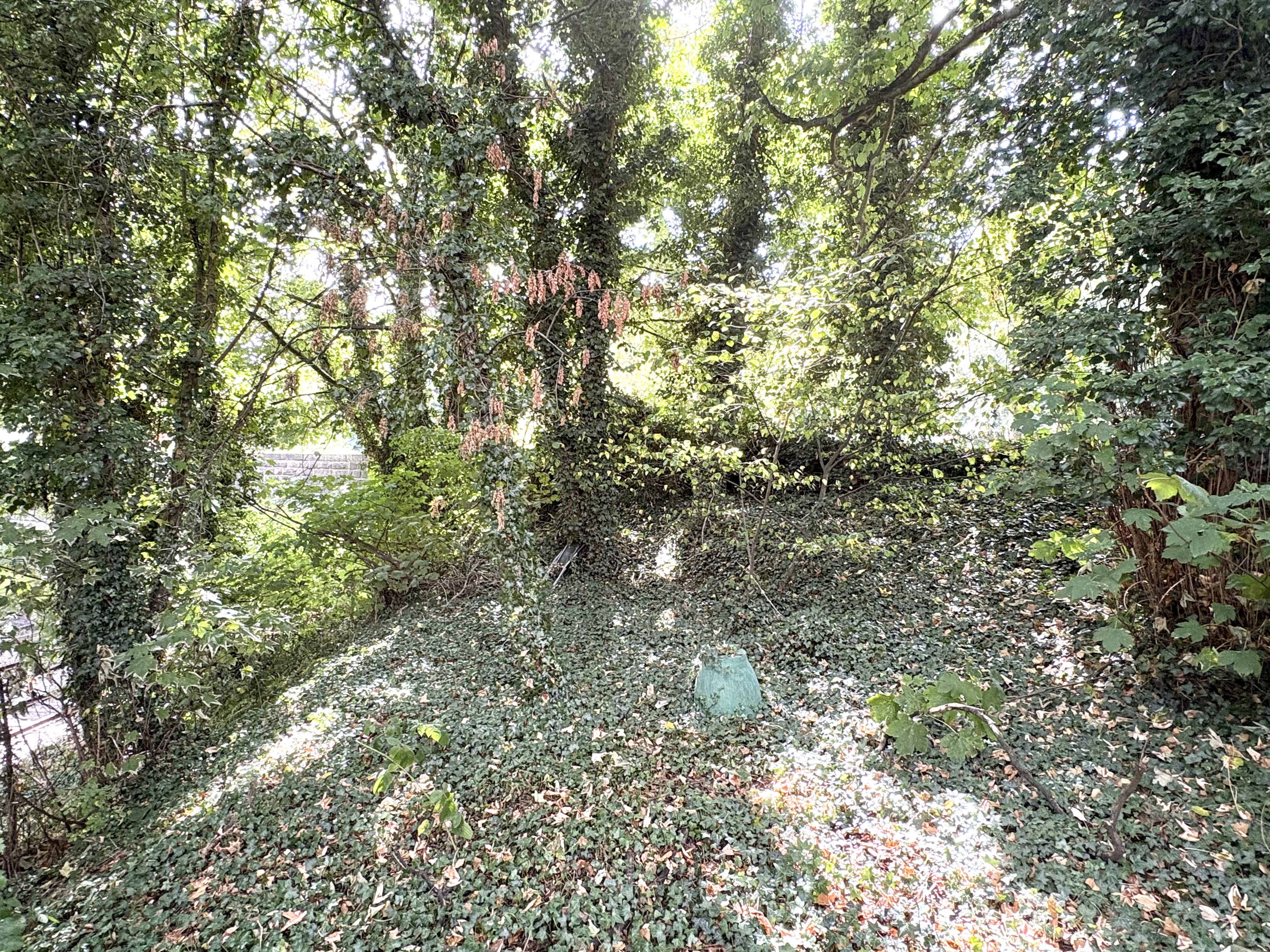 Property image #6