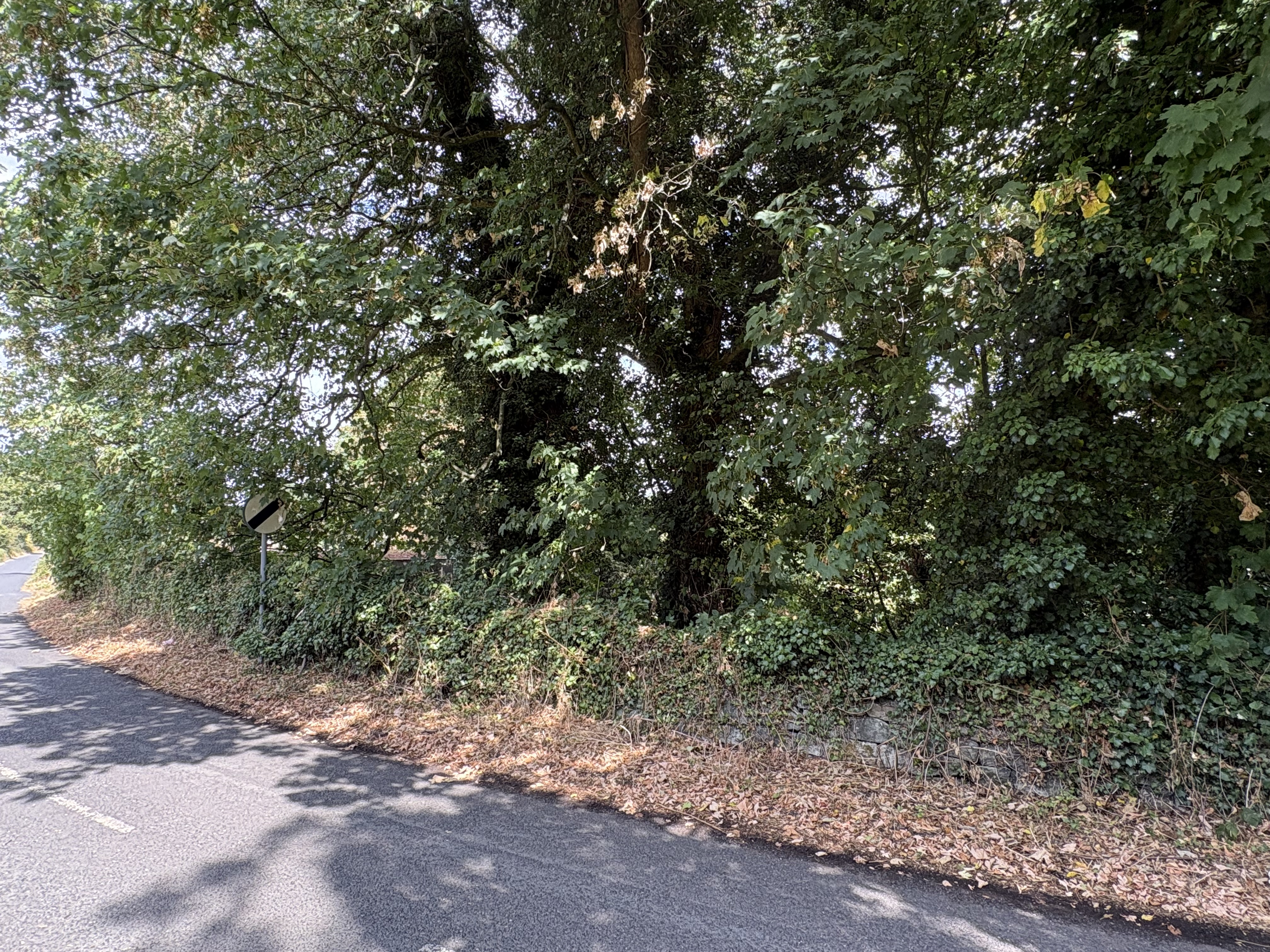 Property image #7