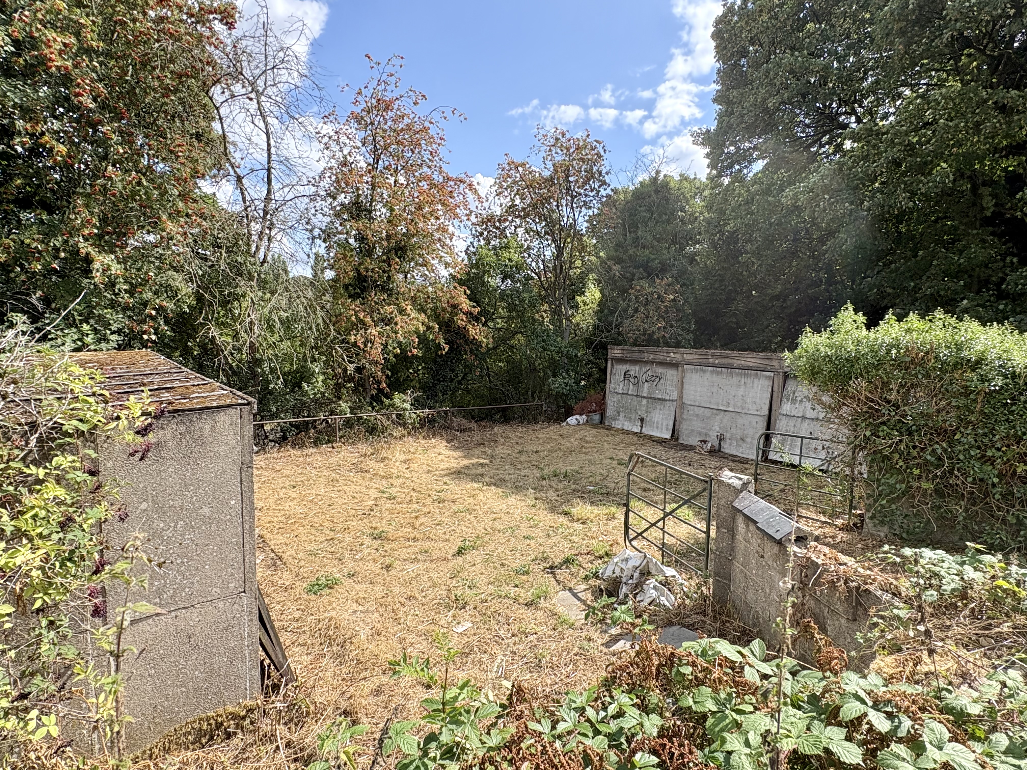 Property image #8